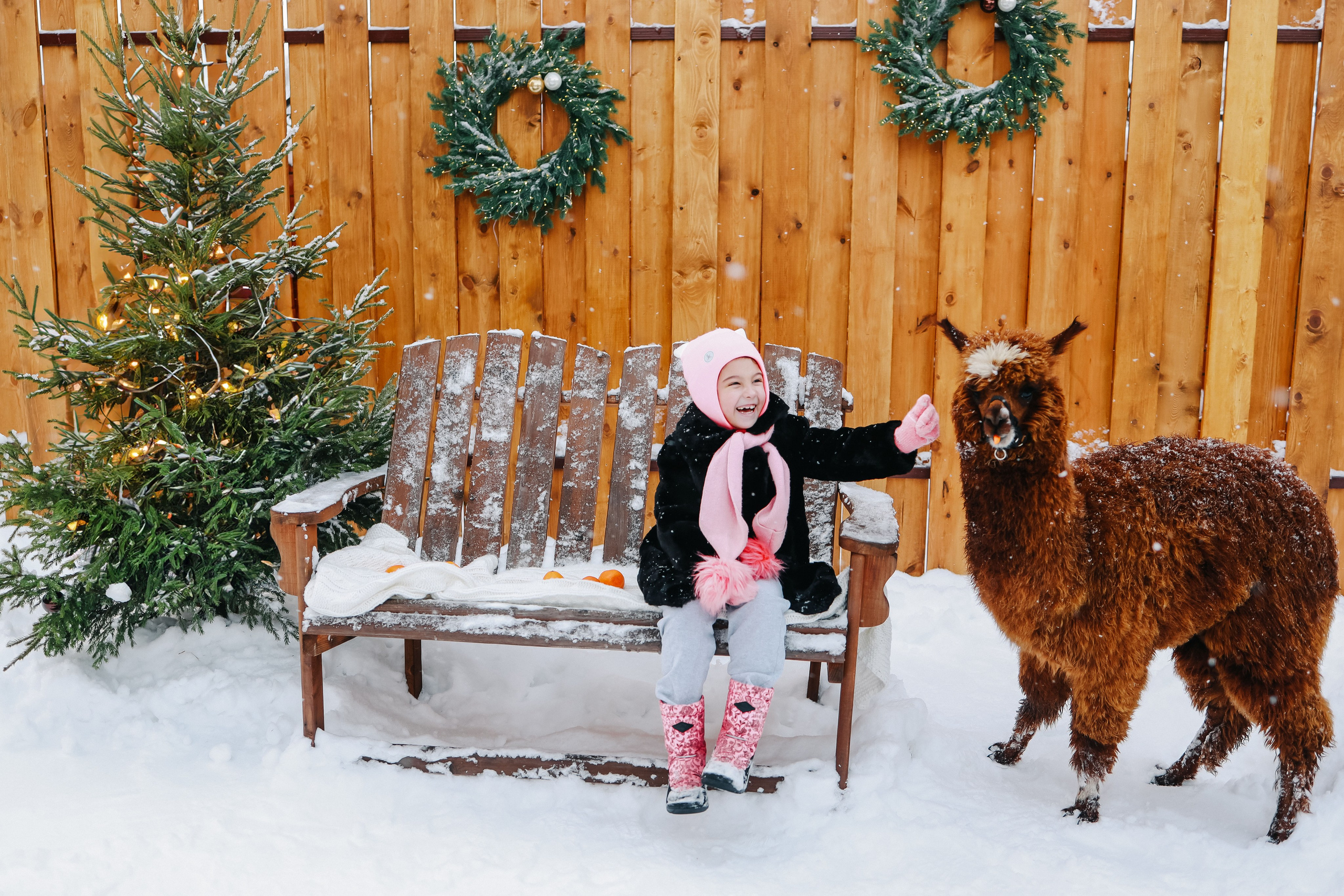 Семейная фотосессия с Альпакой. Иванова Ирина Свадебный и семейный фотограф г. Уфа