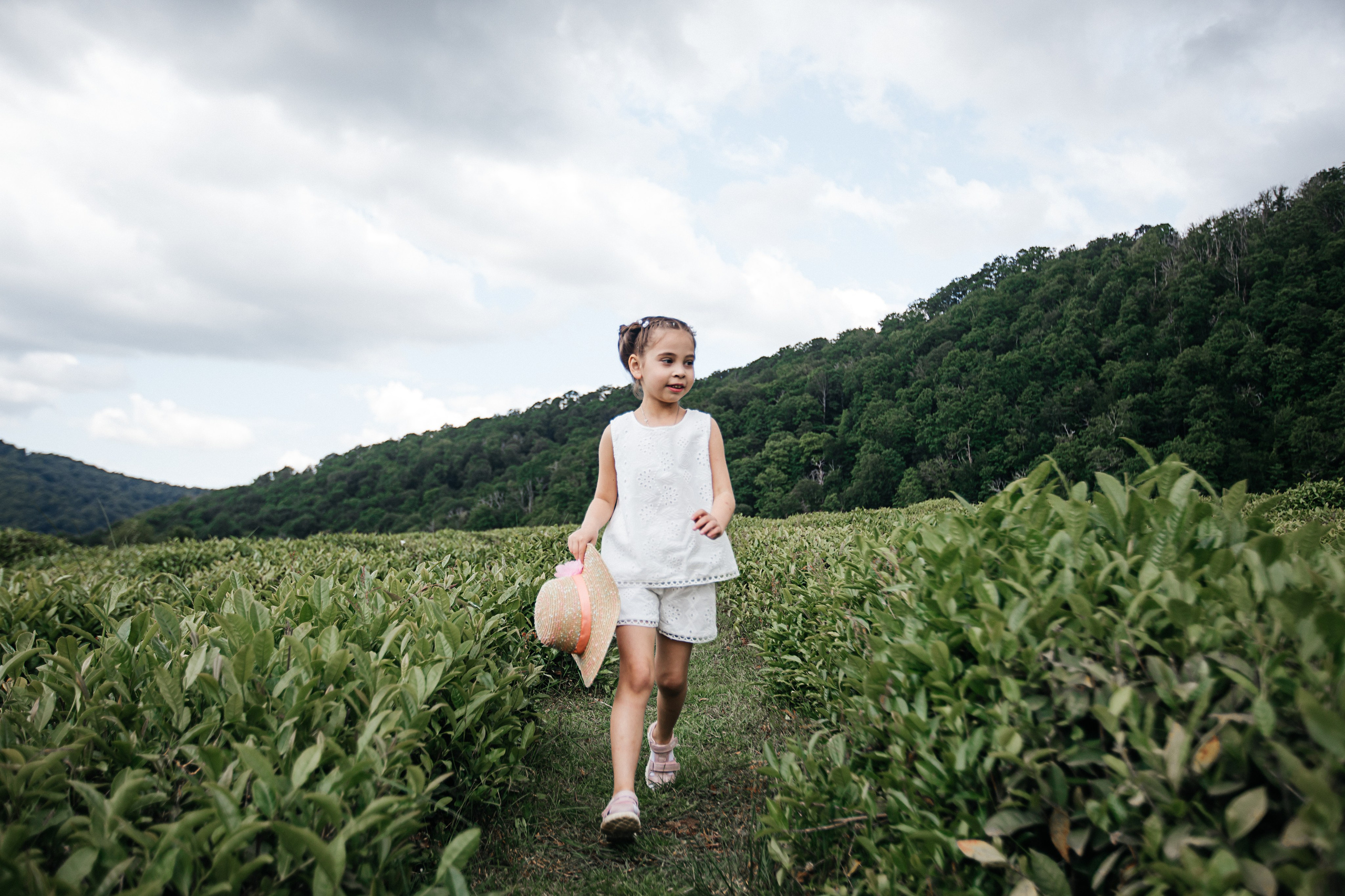 Tea plantation. Efimova Model Agency