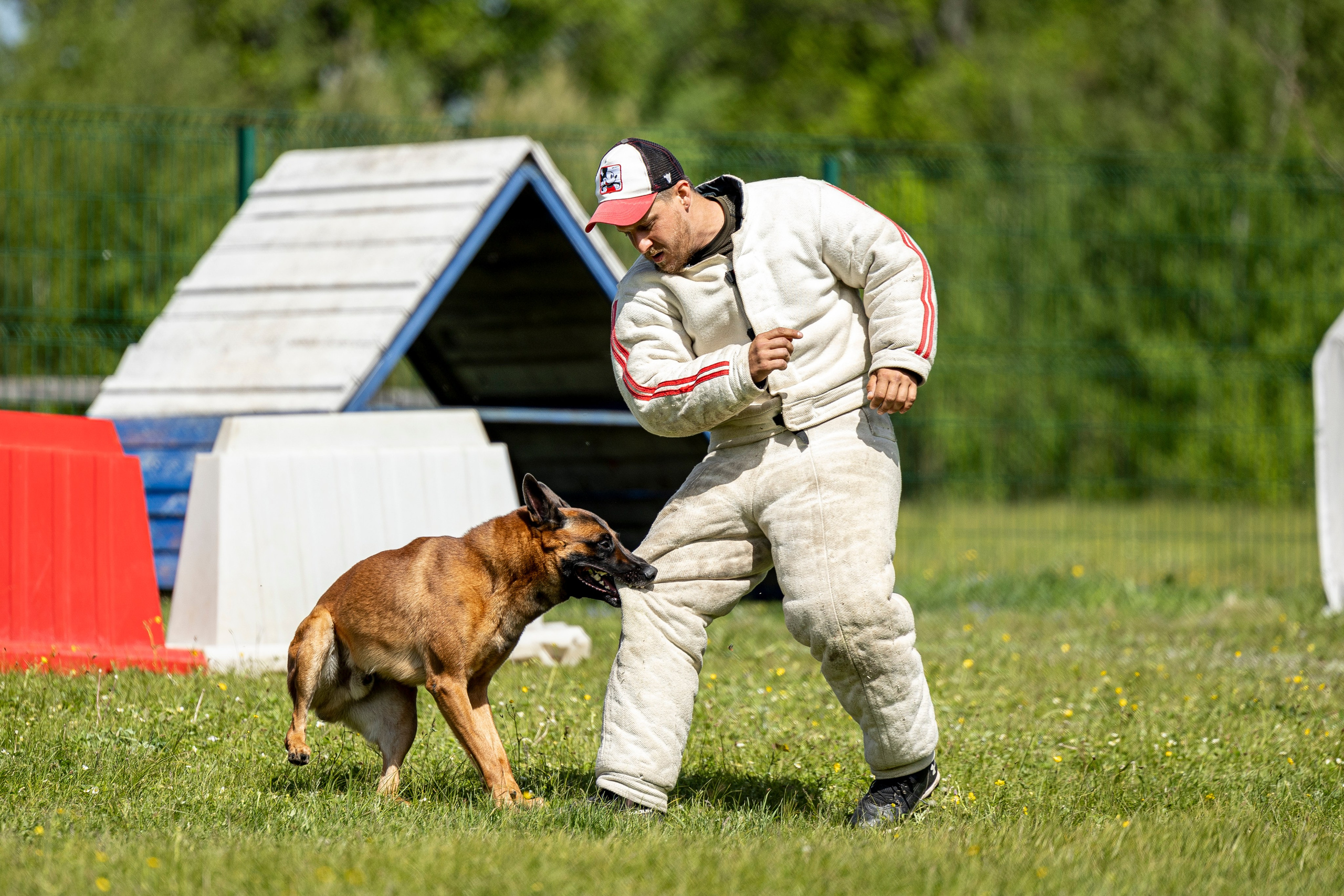 Испытания по мондьорингу в Нижнем Новгороде. Фотограф-анималист Анна Маринич