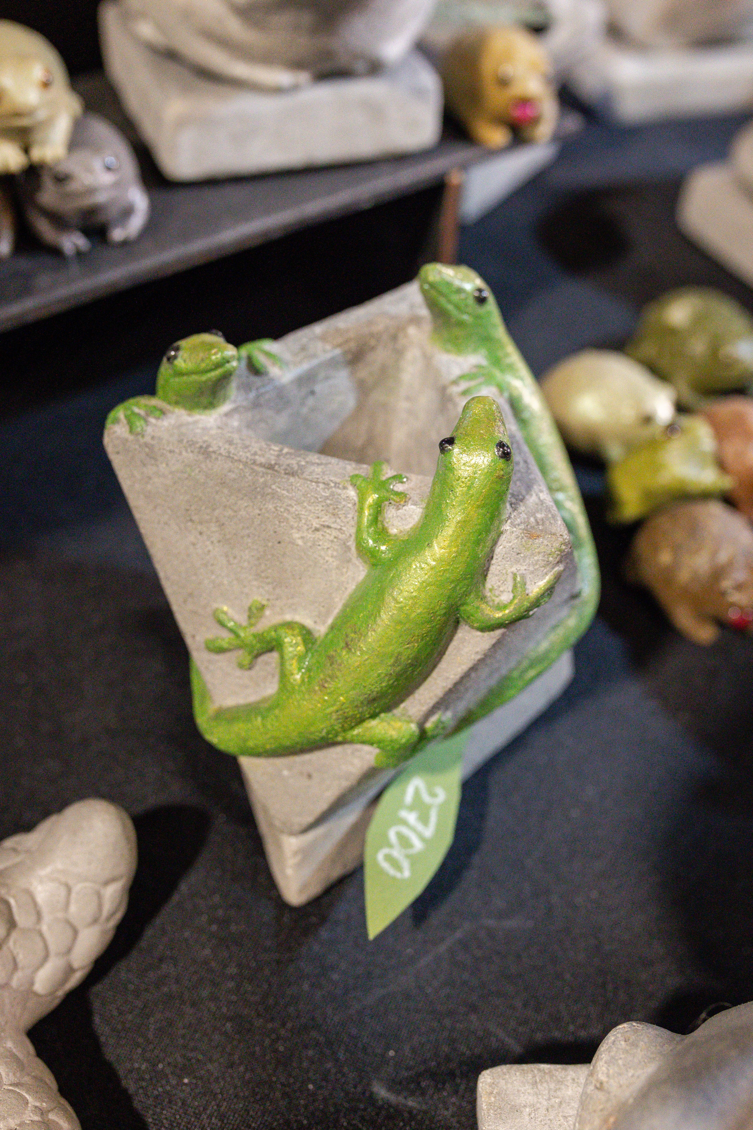 Кактус Фест. Александра Куликова фотограф, Москва