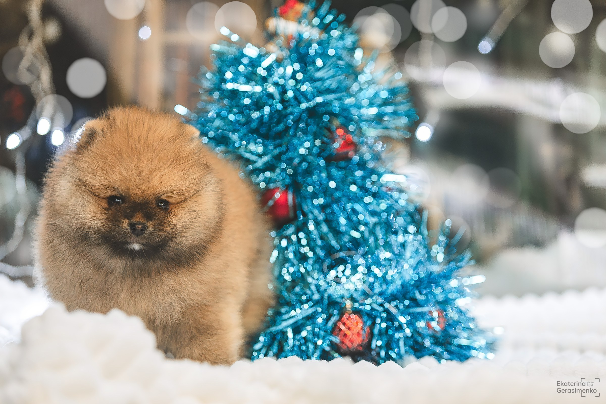 Фотодень. Htykk_photo