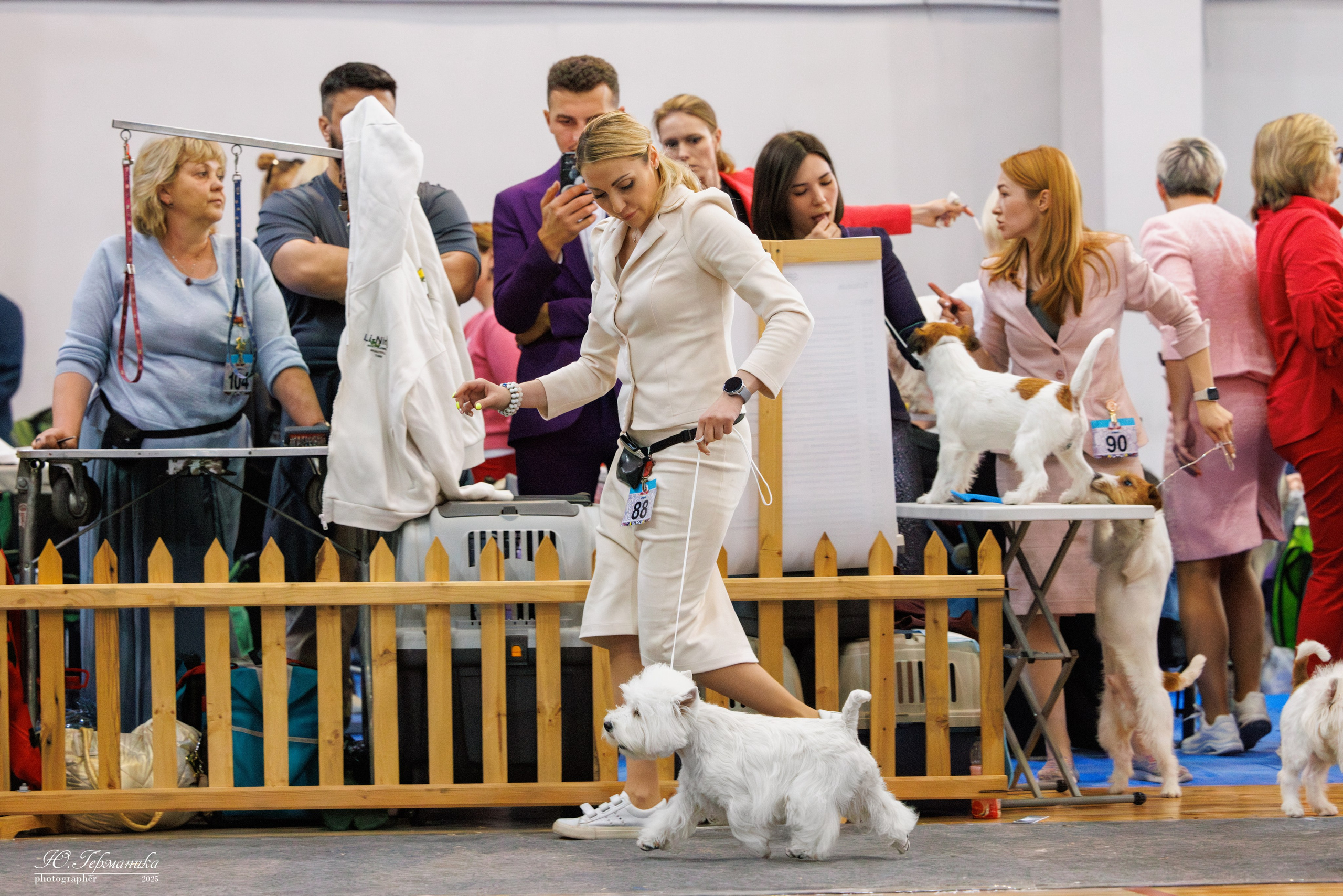 Ереван 2х CACIB 29-30.04.2025. Фотограф-анималист Юлия Германика