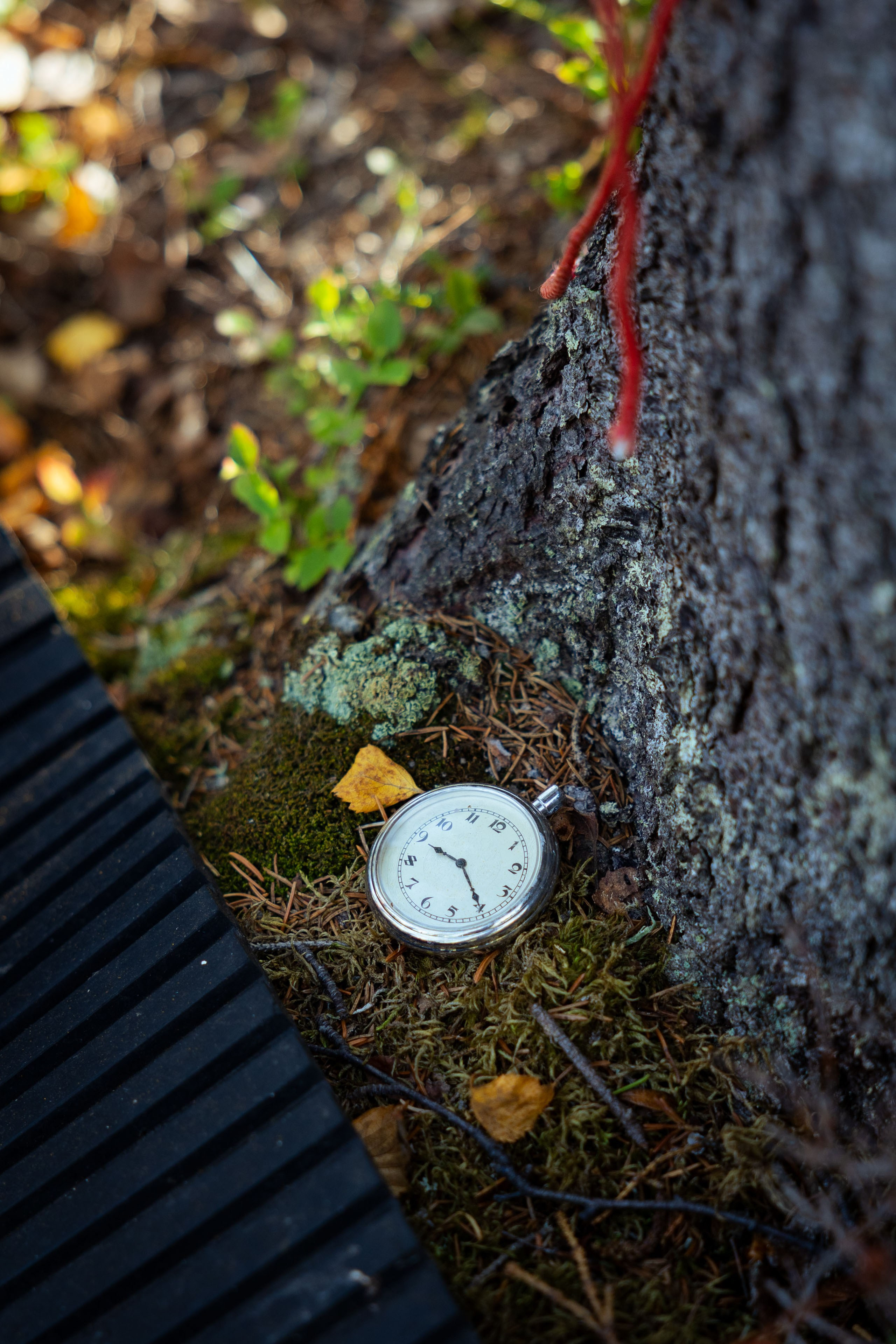 Кольский (осень 2025). Фотограф Виноградов Константин