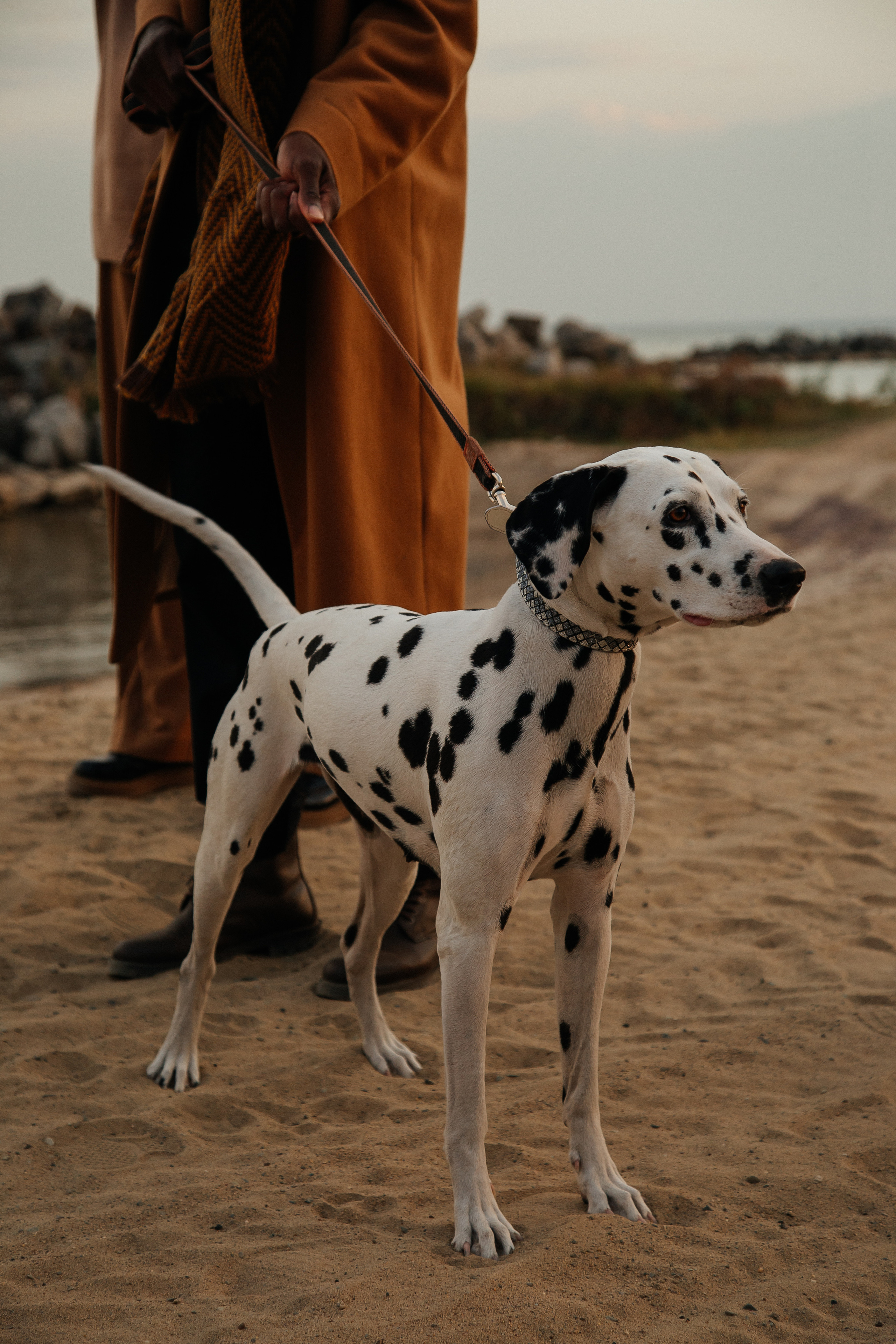 Паркис и Лаура. Свадебный и семейный фотограф Новосибирск