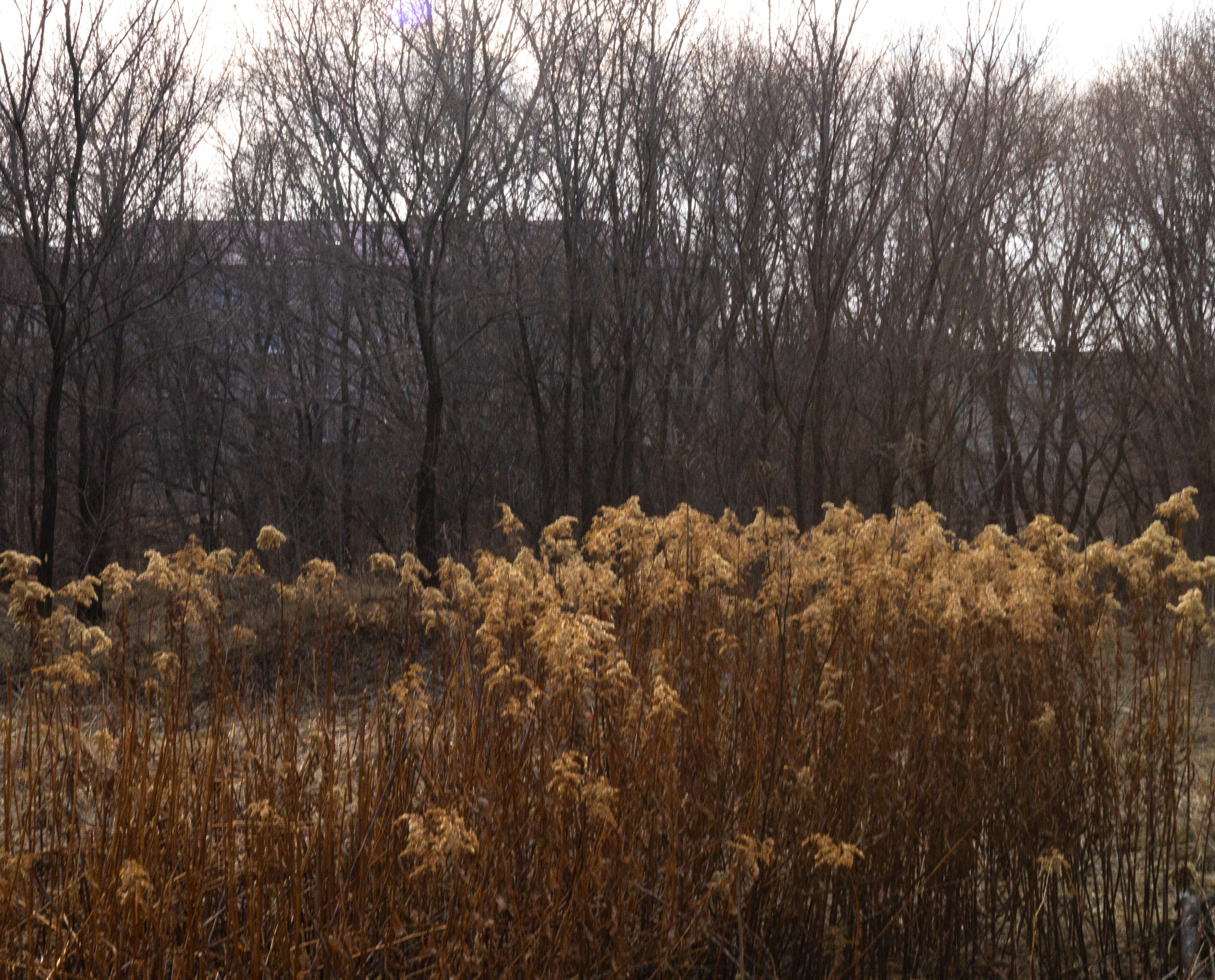 дачи, город, архитектура, стрит, репортажная фотография, фотография, Хабаровск, фотосессия, фотограф, дом, новостройка, улицы, жизнь города, town, art, photo, photographer, photo, Khabarovsk, Far East, street photo