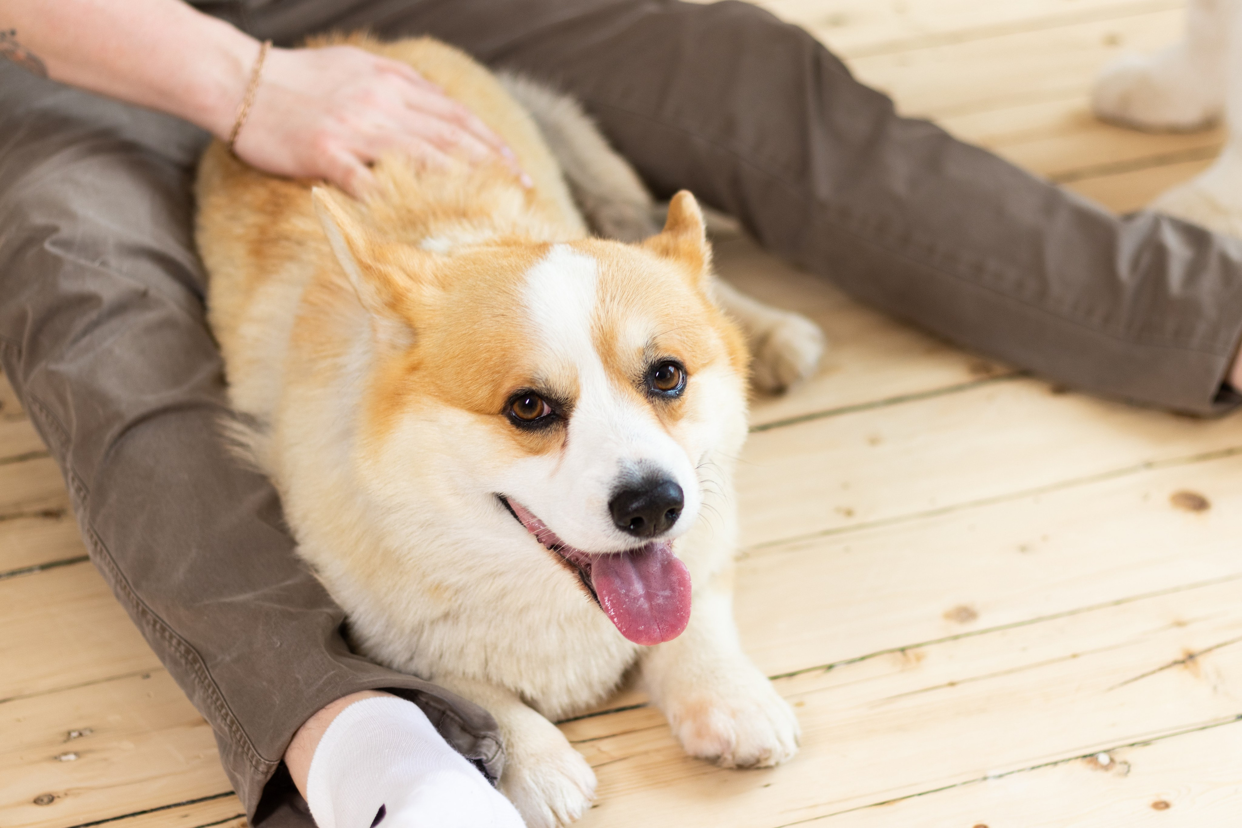 Оля, Дима и Оливия. Кристина | youseeitmyway | Фото