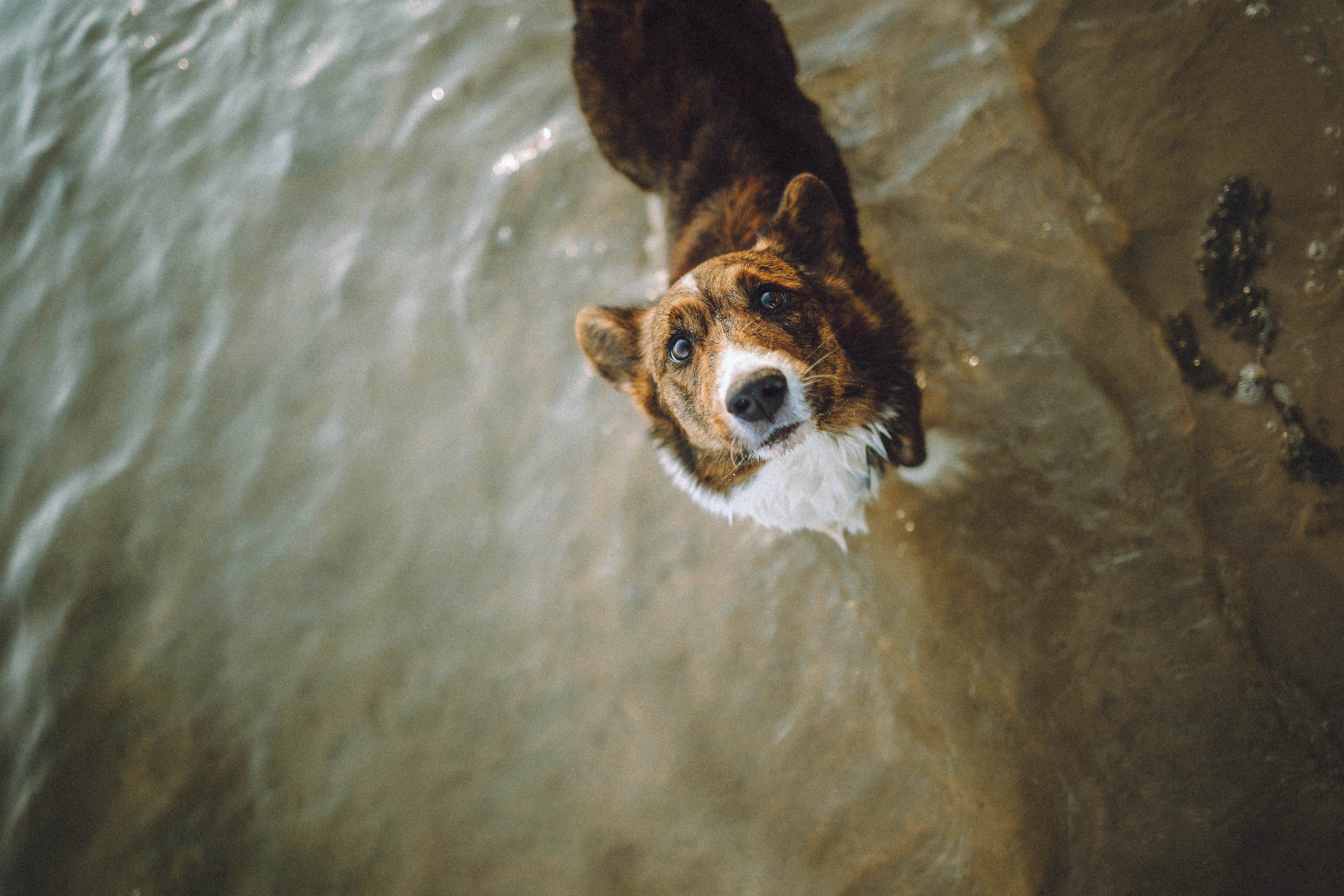 Таня, Ерш и Оллик