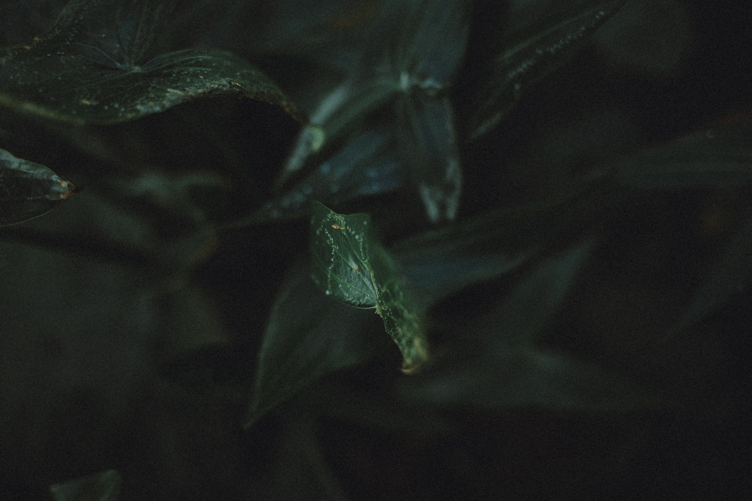 Маша и Джерри