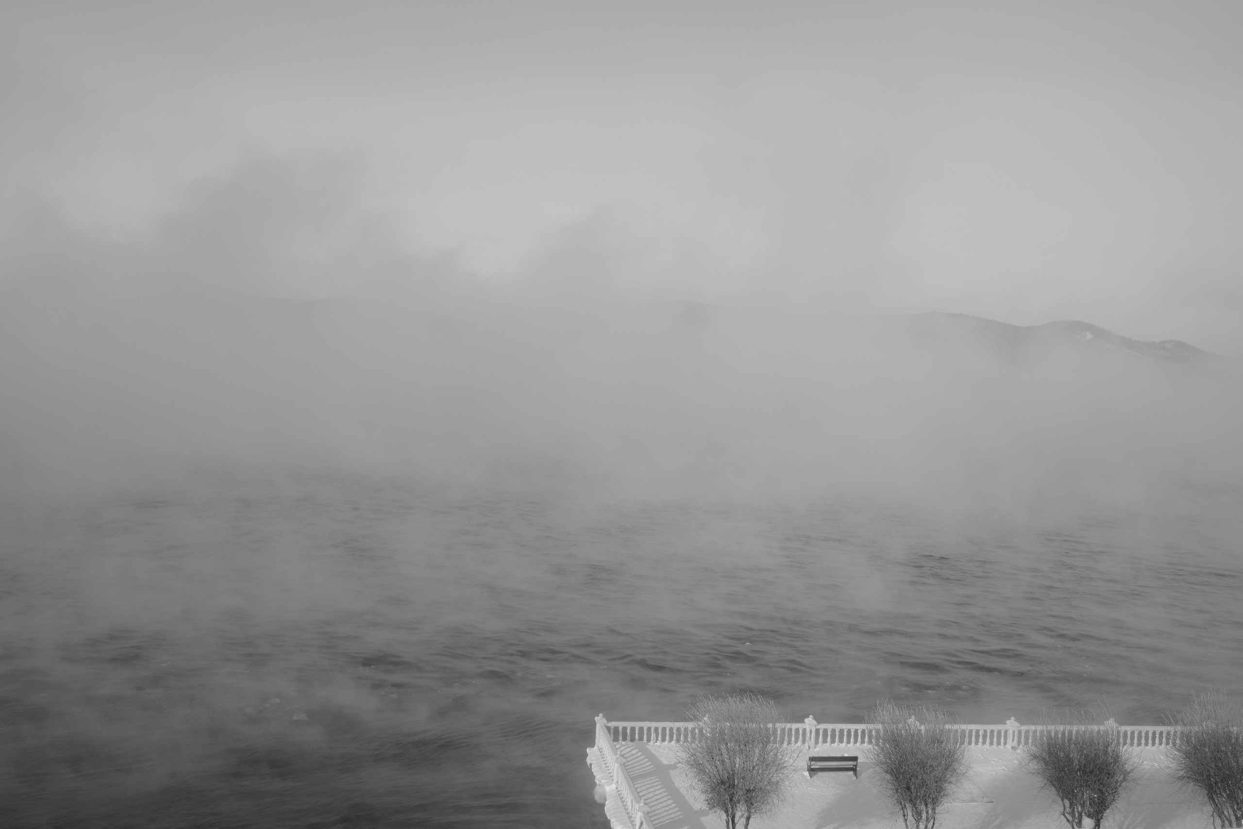 Безмолвие пустоши. Междисциплинарный художник Екатерина Старовойтова