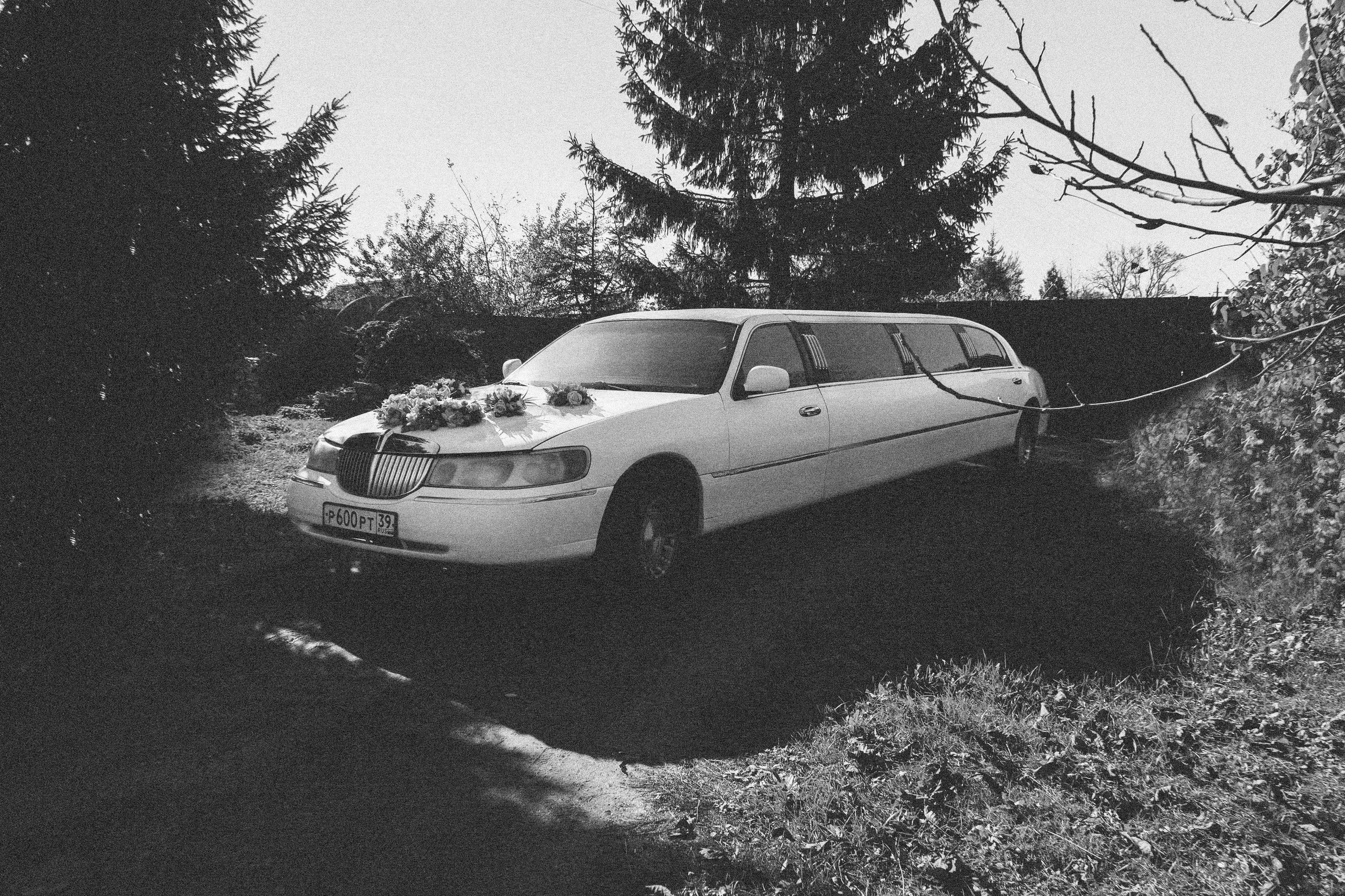 Илья & Ксения. Olya Posnimay