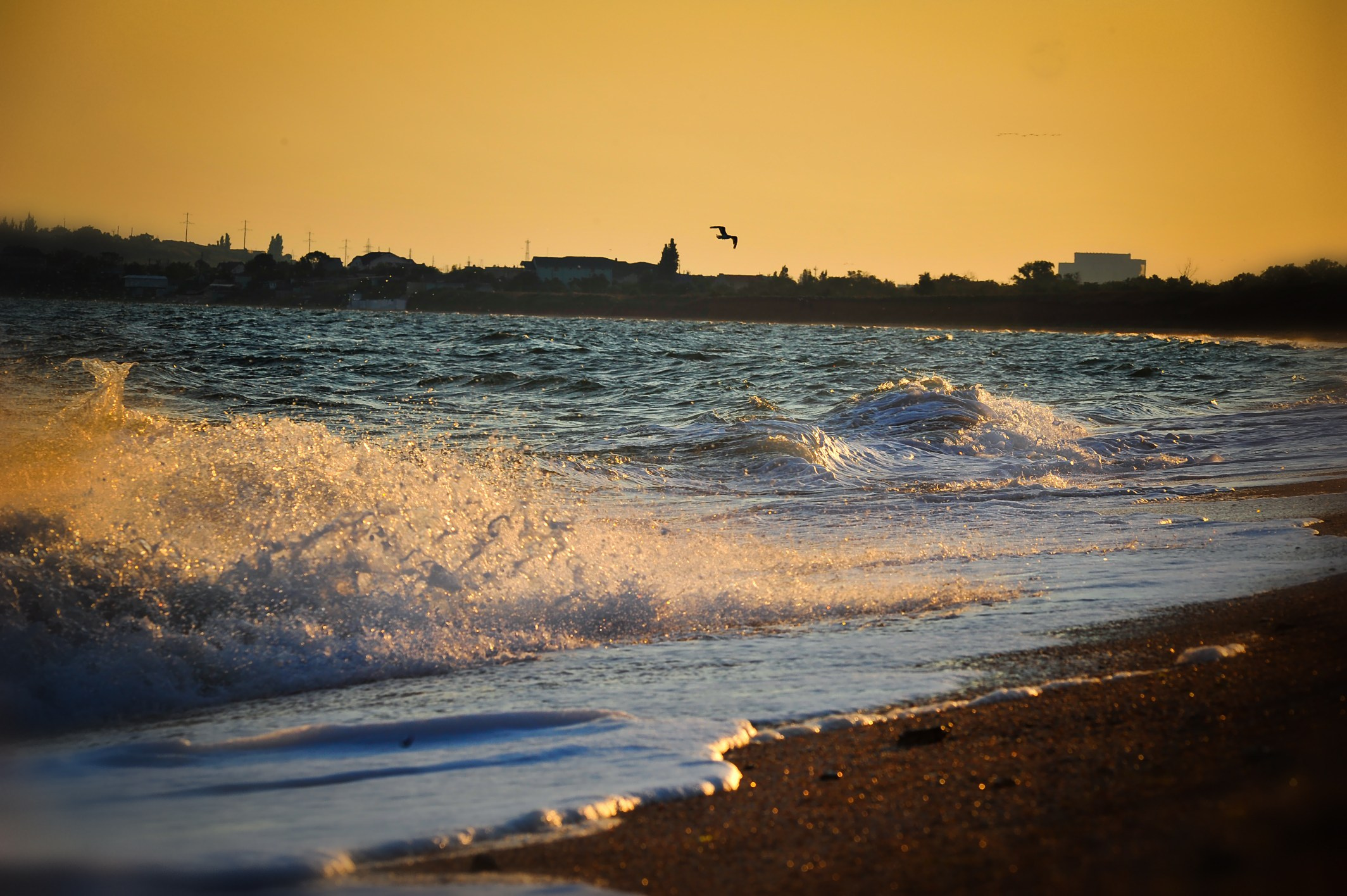 Vibe. Фотограф Милена Яновска