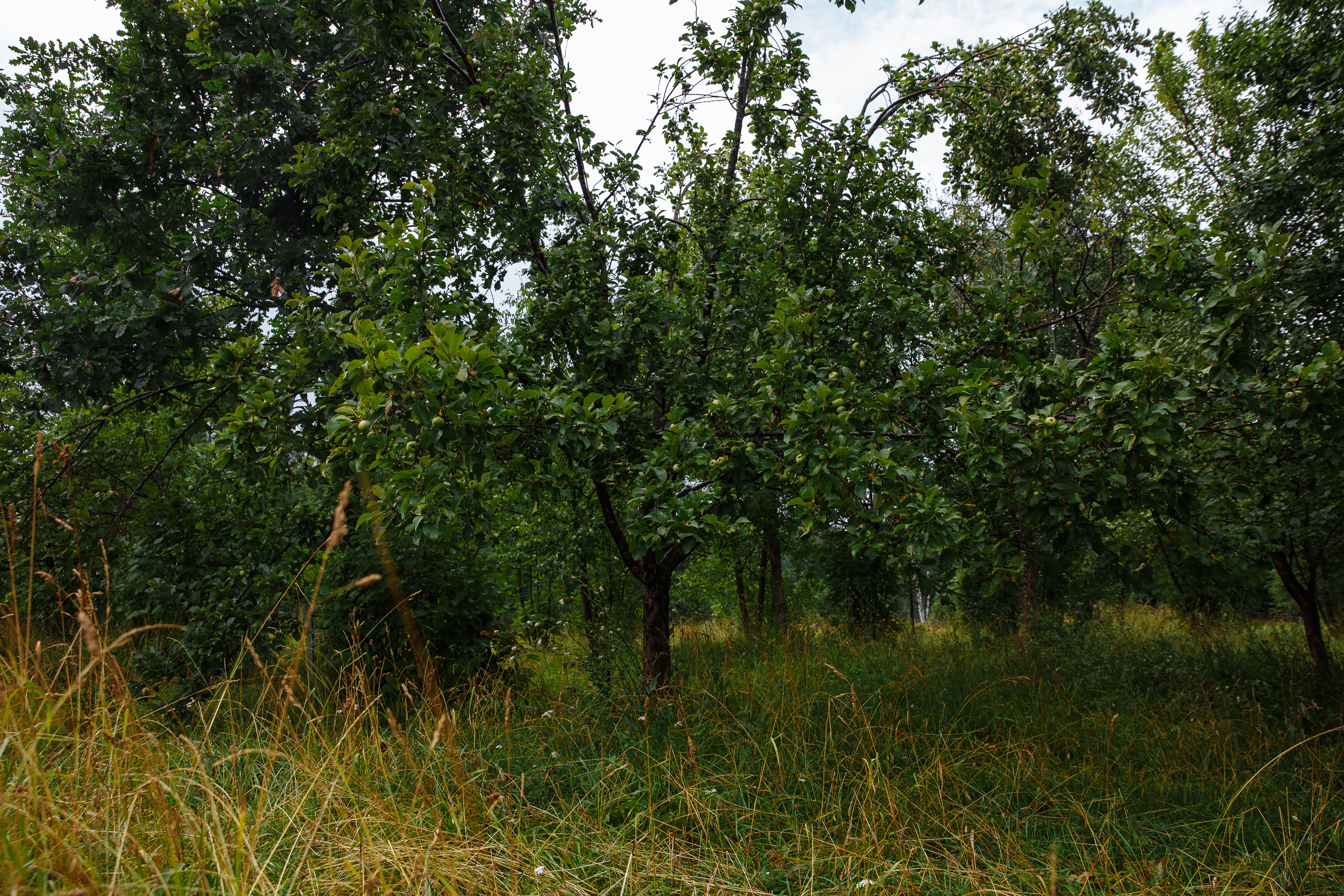 Ира. Свадебный и портретный фотограф в Нижнем Новгороде и Нижегородской обл