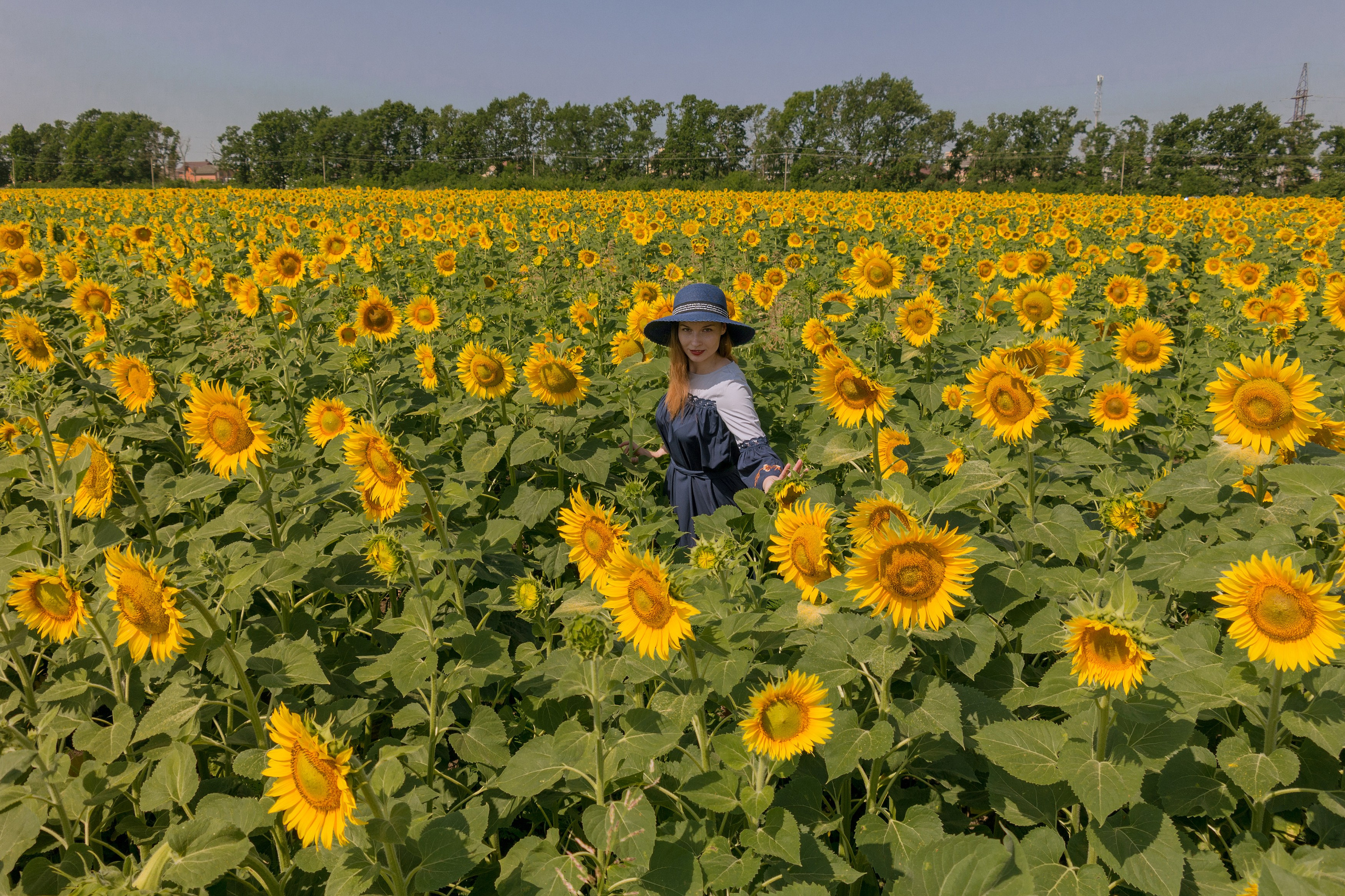 Прокат образа для летней фотосессии в поле, в подсолнухах, на улице, на природе Краснодар