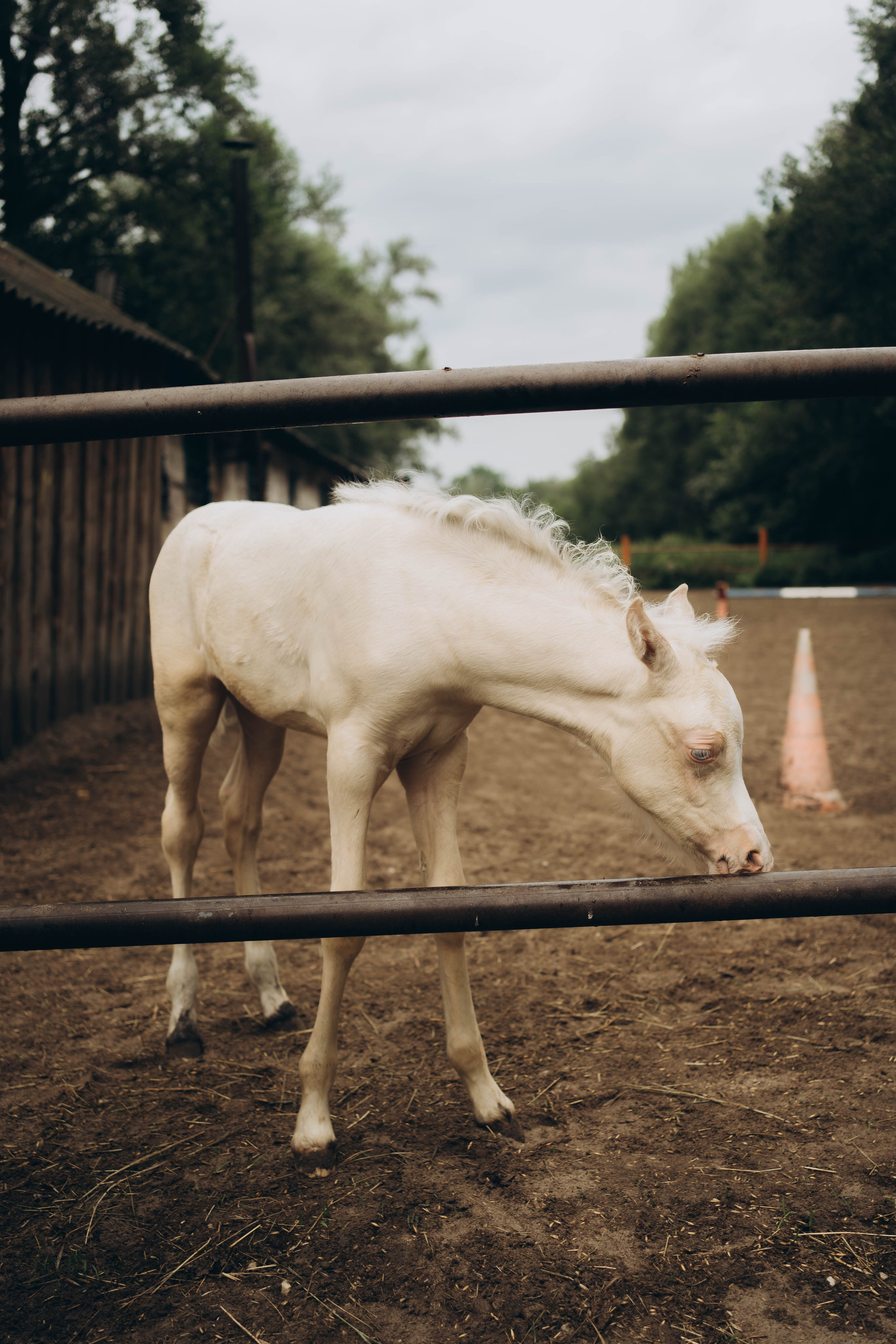 Семейные прогулки ульяновск. Семейный и детский фотограф новорожденных Ульяновск