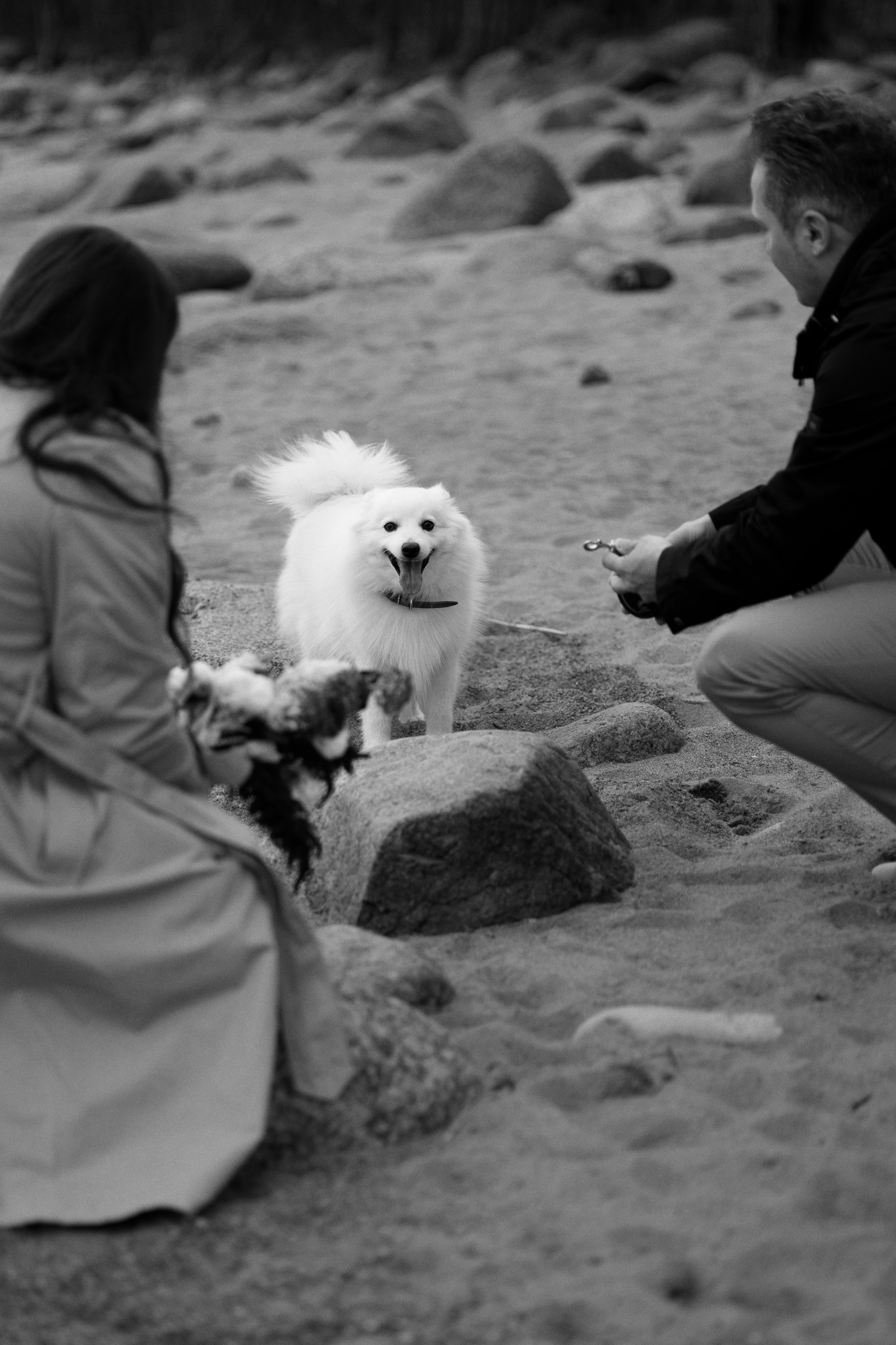 Аня, Дима и Калипсо. Женский и свадебный фотограф в Санкт-Петербурге Матвеева Наталья