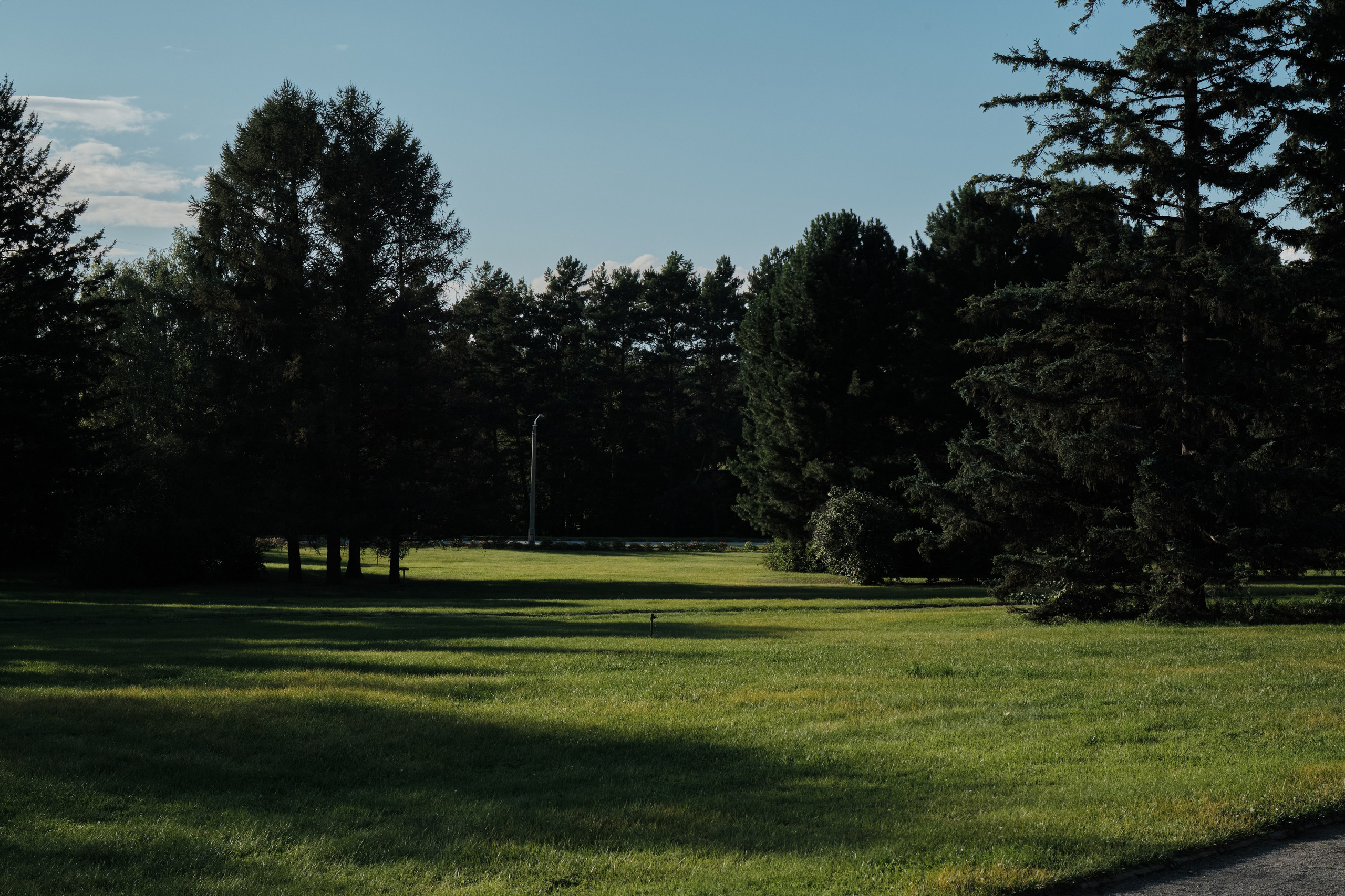 Академ-городок и ботанический сад. Goncharov Tim