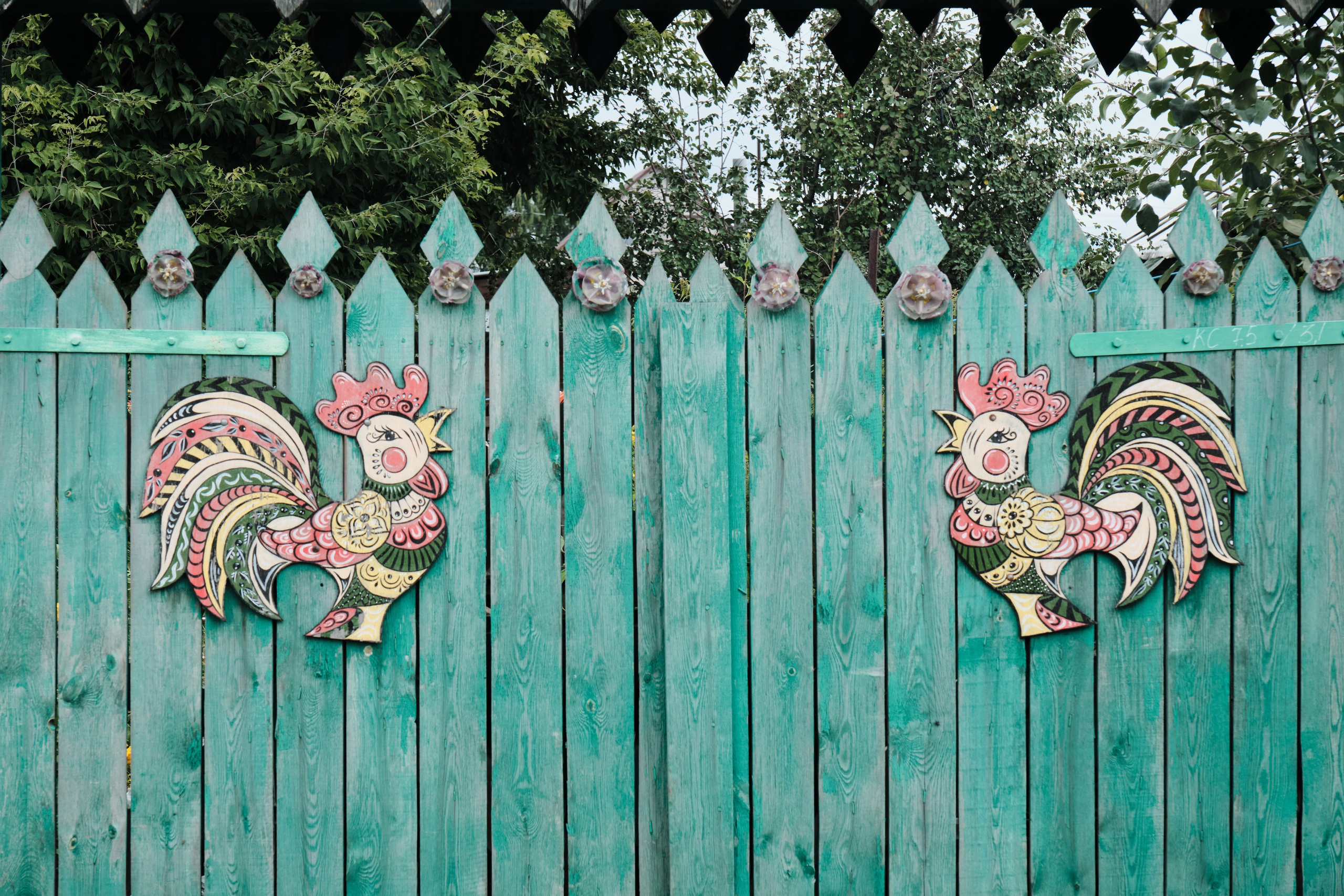 Мочище и Сокур. Goncharov Tim