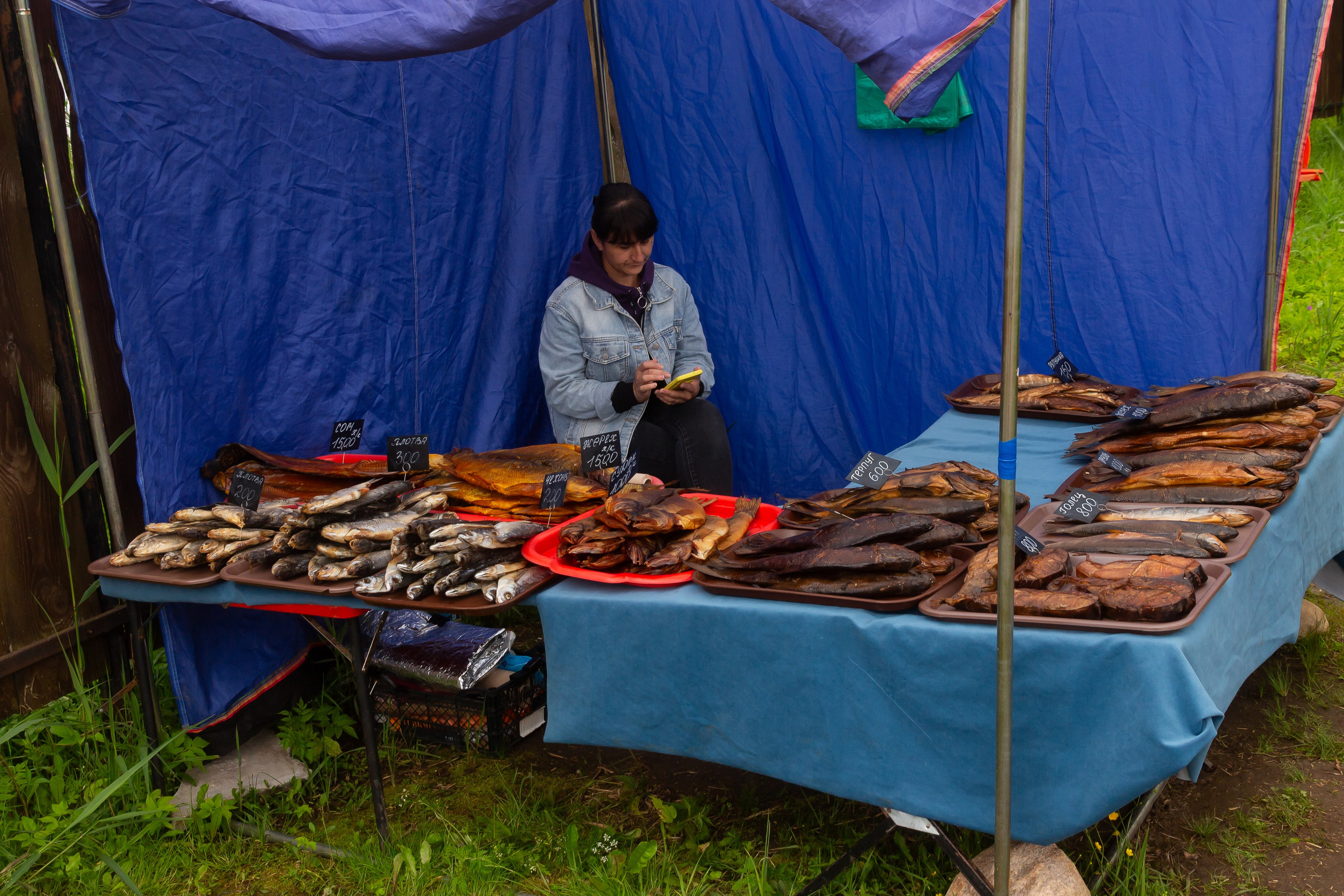 «Ивана Купала» в Калязине 2025. Фотограф Илья Варакин