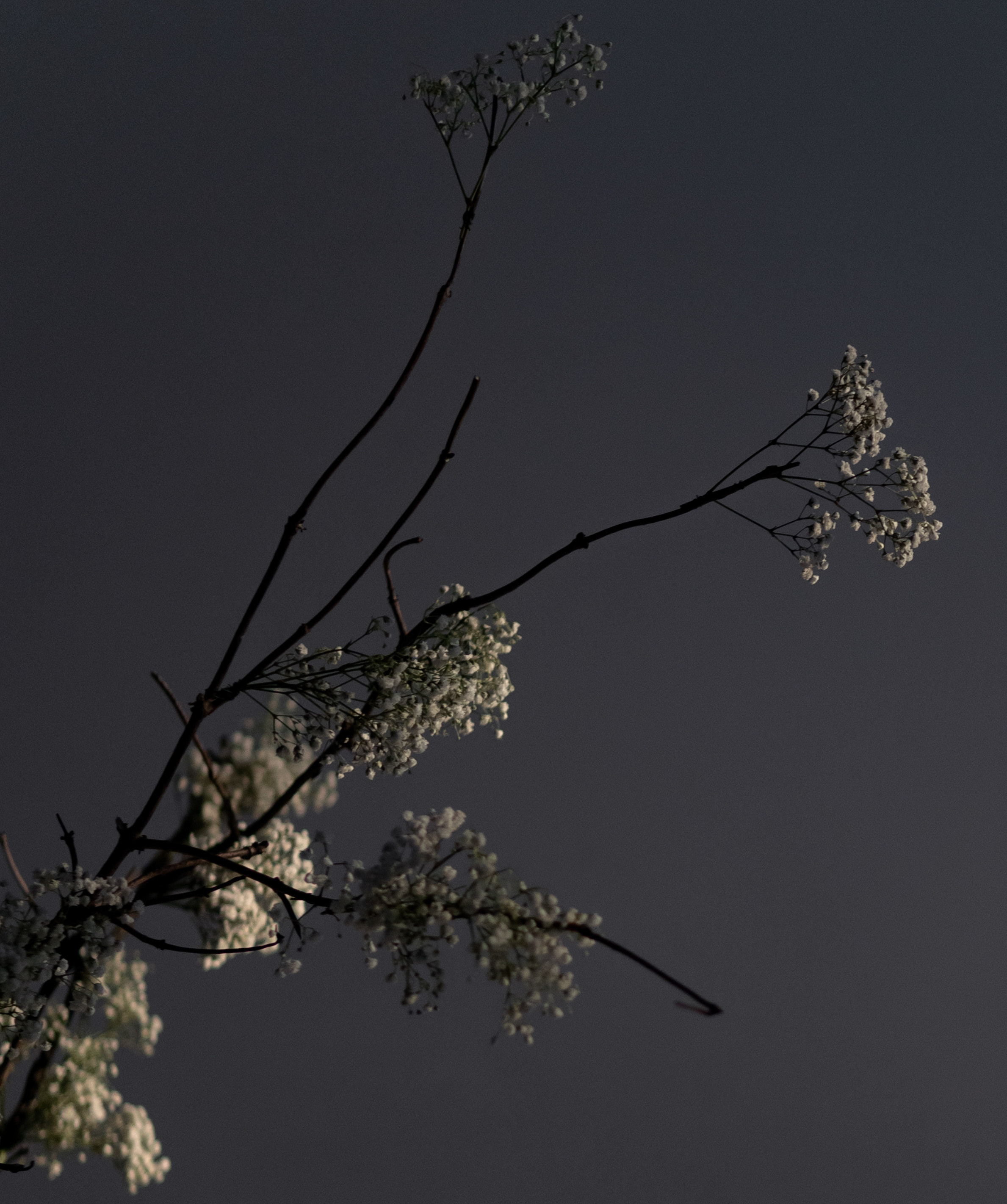 ASIA SPACE. Антон Прокопенков Свадебный Фотограф +7(916) 013-35-12