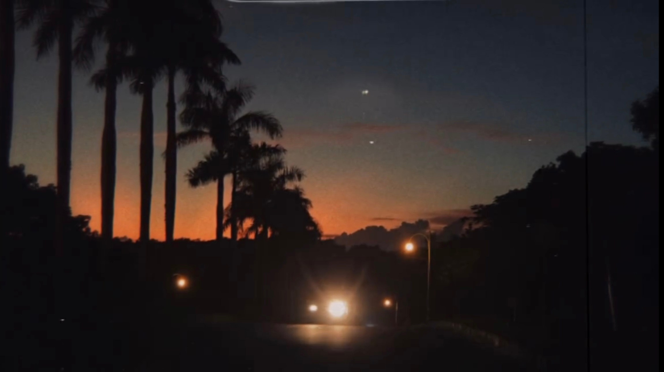 Виолетта Скрипка