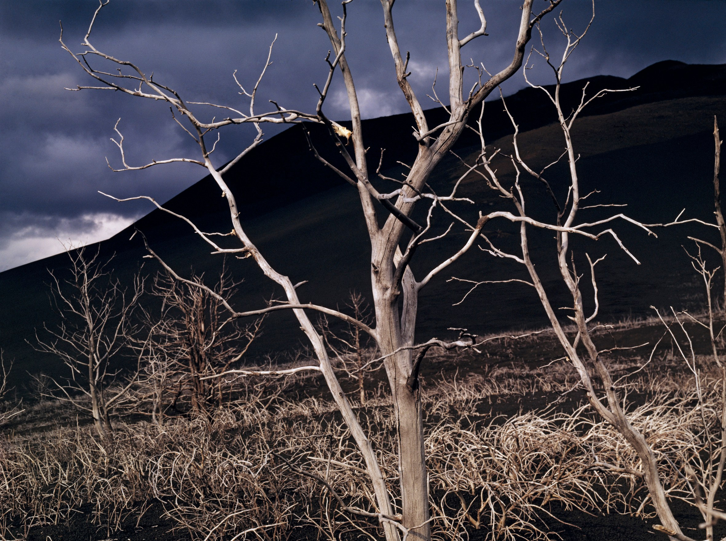 После извержения.  Толбачик