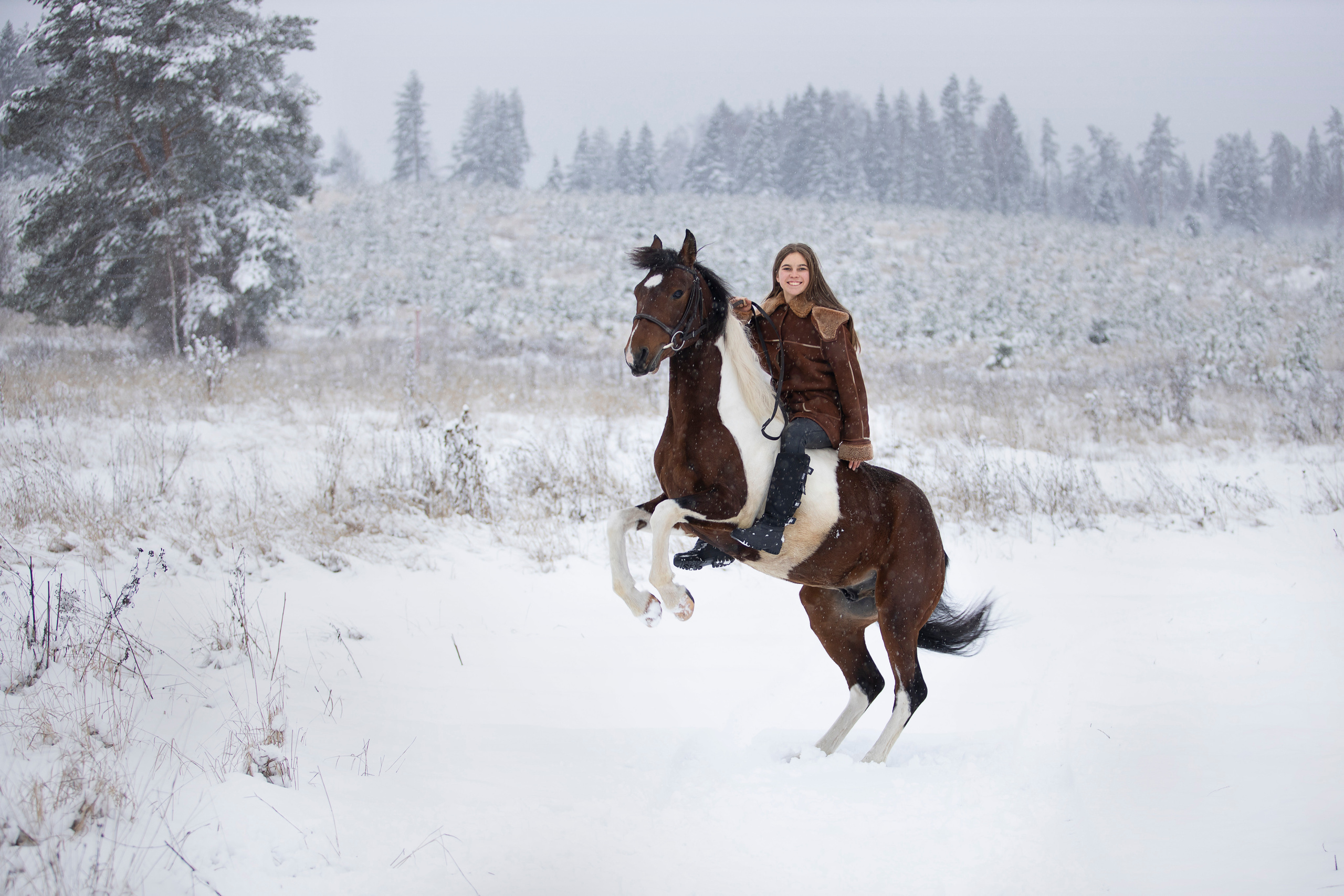 Съемка с животными. Бочарова Мария — школьный фотограф Апрелевка, Новая Москва, Московская область