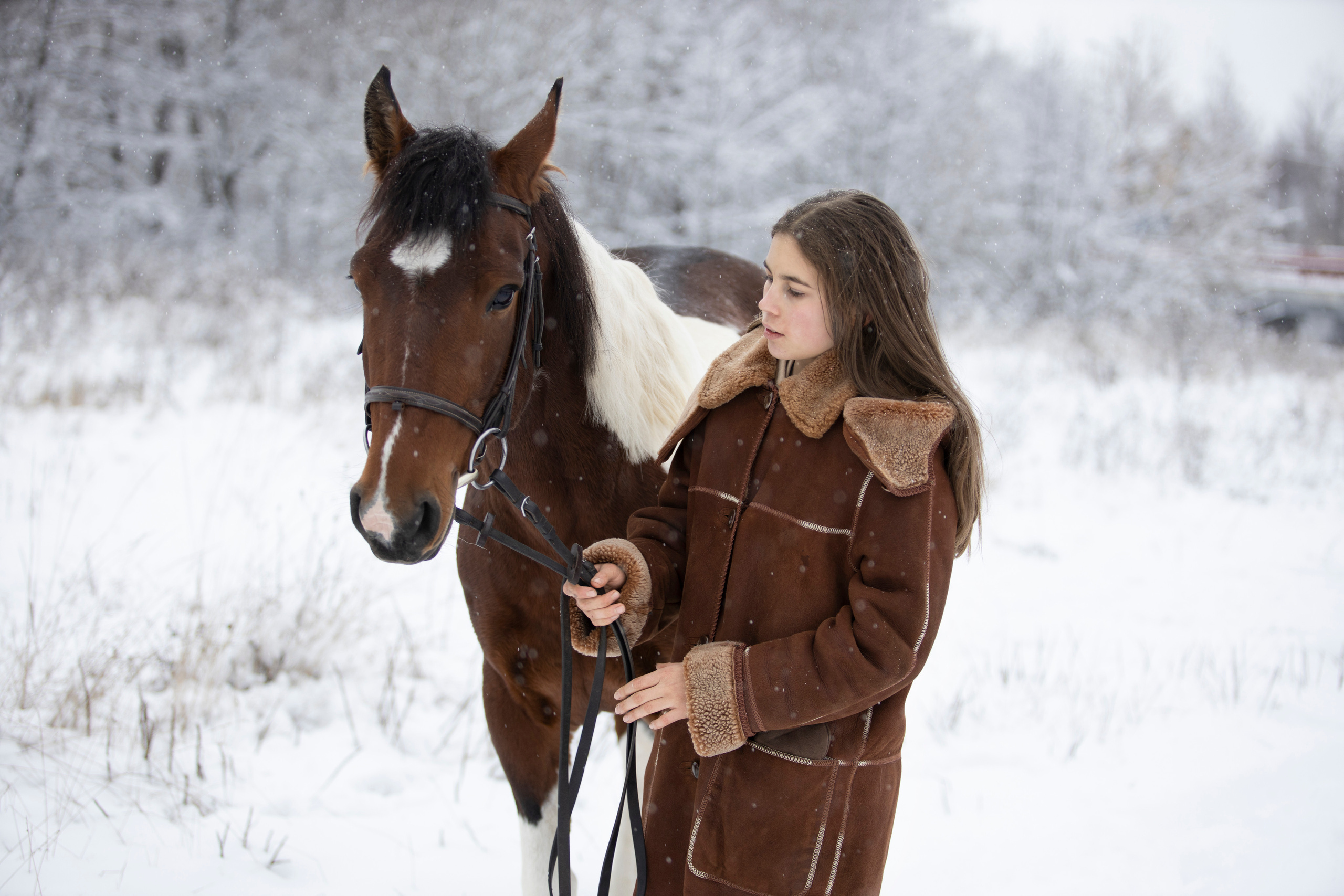 Съемка с животными. Бочарова Мария — школьный фотограф Апрелевка, Новая Москва, Московская область
