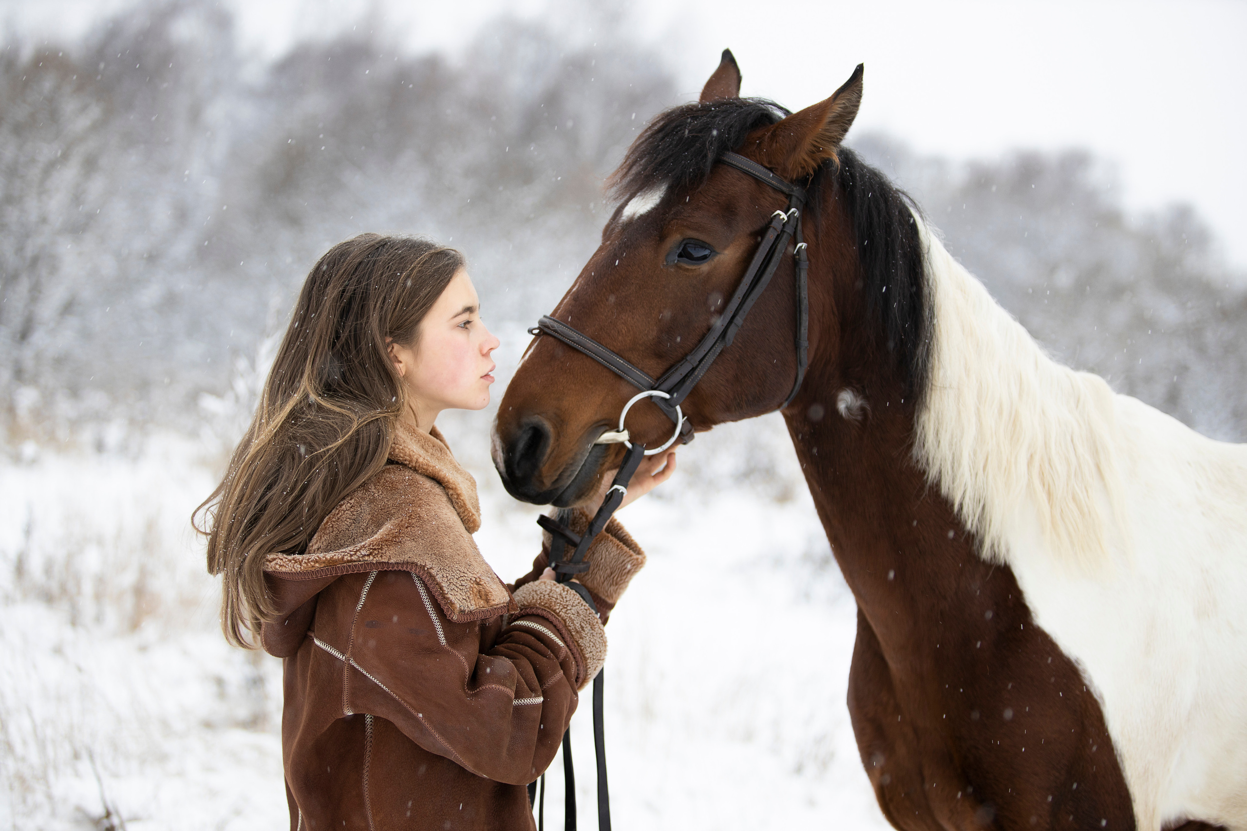 Съемка с животными. Бочарова Мария — школьный фотограф Апрелевка, Новая Москва, Московская область