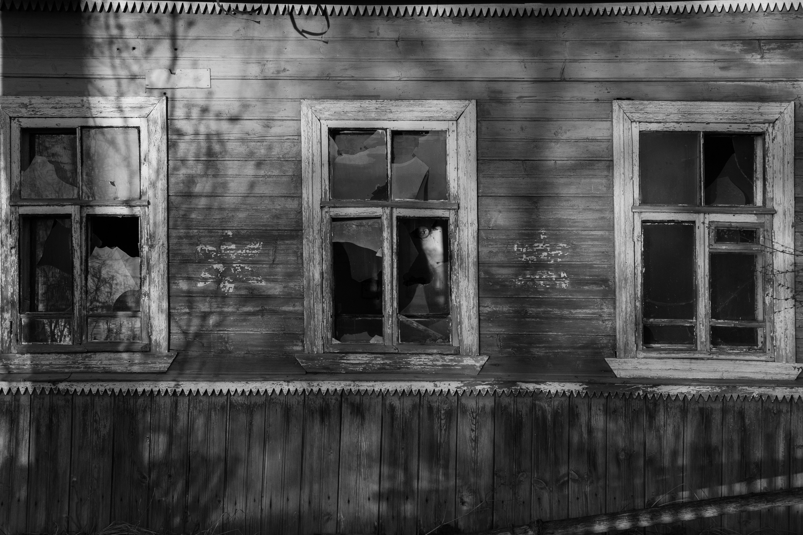Хранитель лесов. Портретная фотосъёмка, репортажная, контент для вашего бизнеса