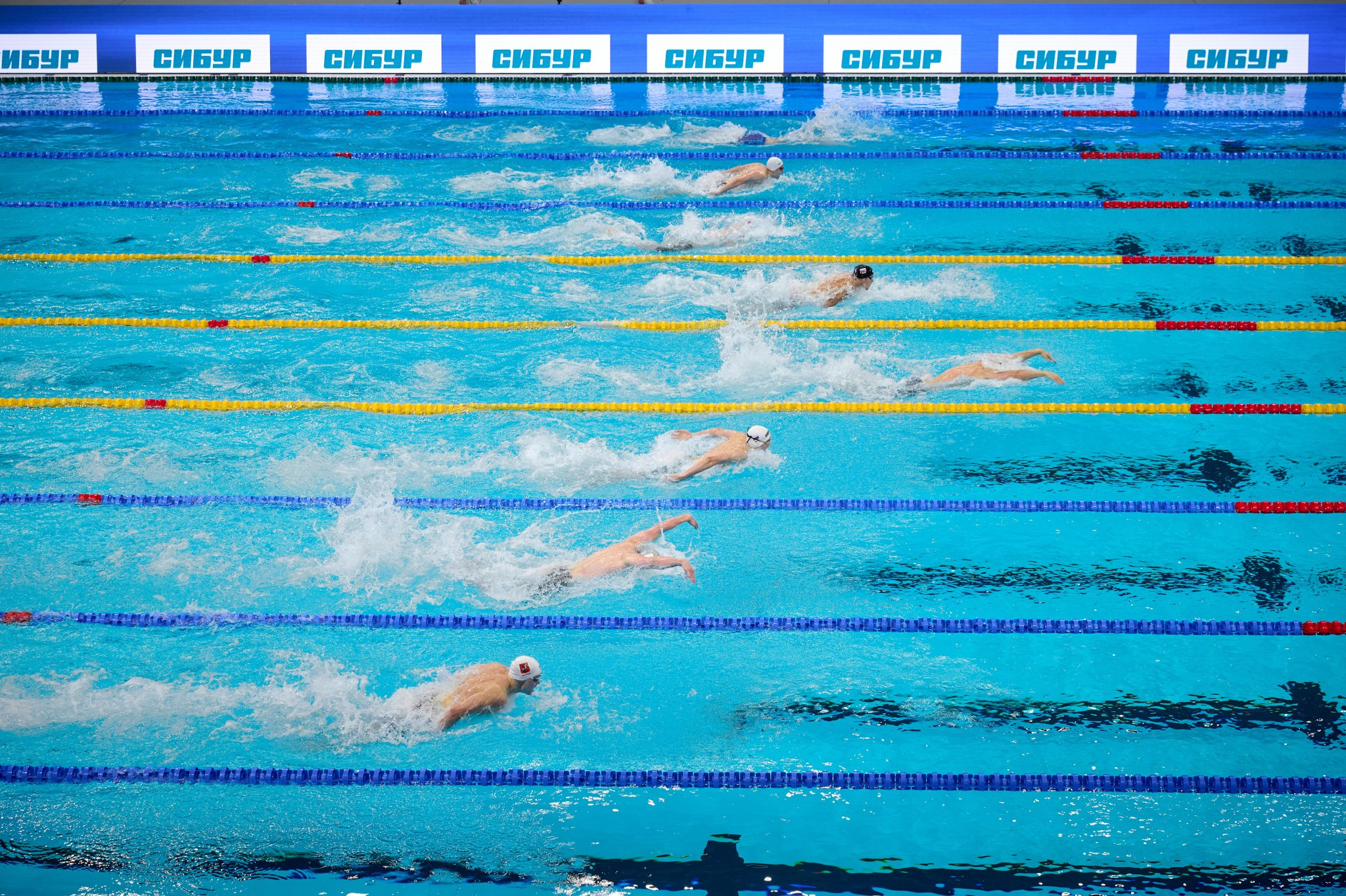 Кубок России по плаванию 2024 г. Екатеринбург. Мезенцев Евгений фотограф