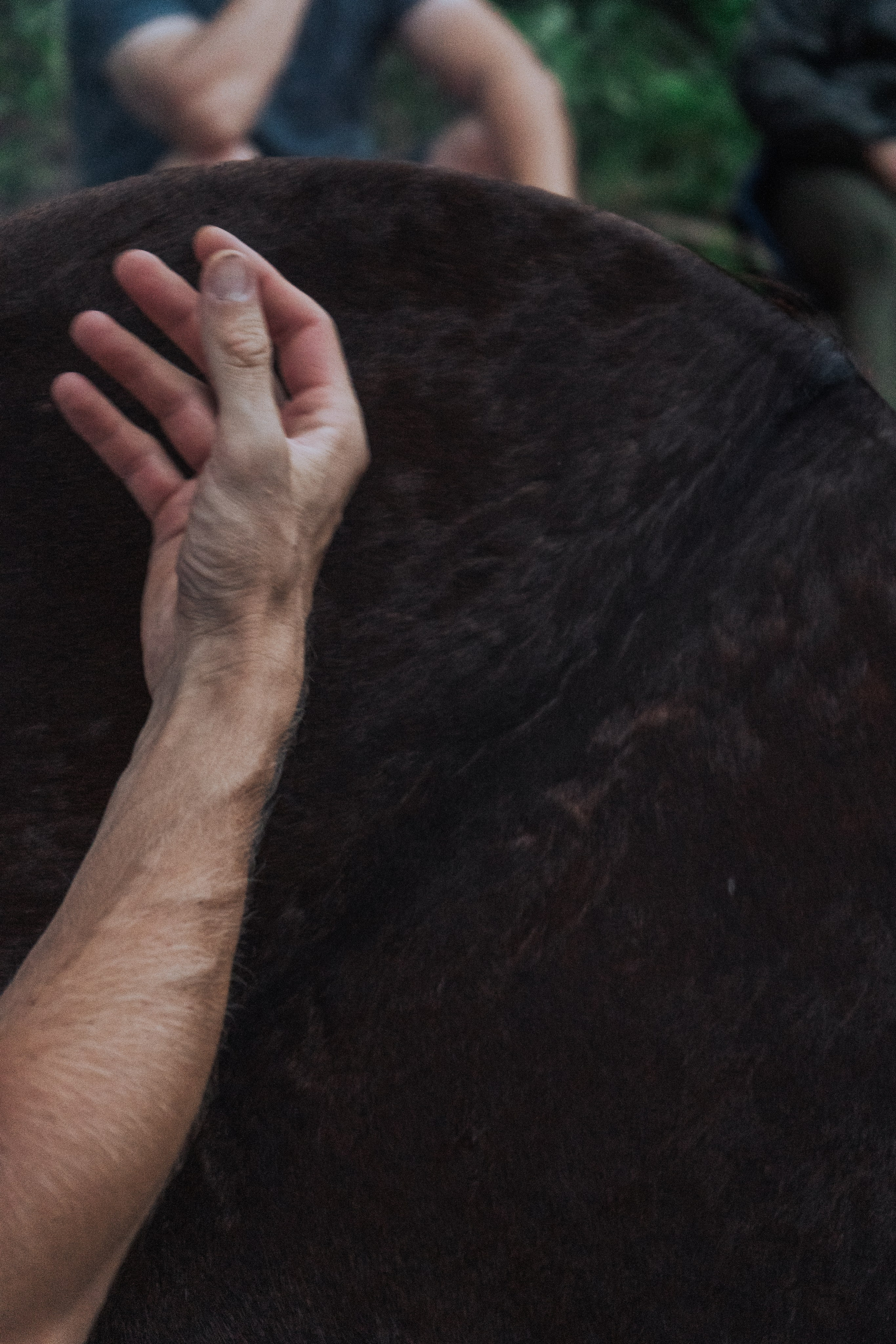 Ретрит от т-центра Псайторий 2024. Портретный фотограф Нижний Новгород