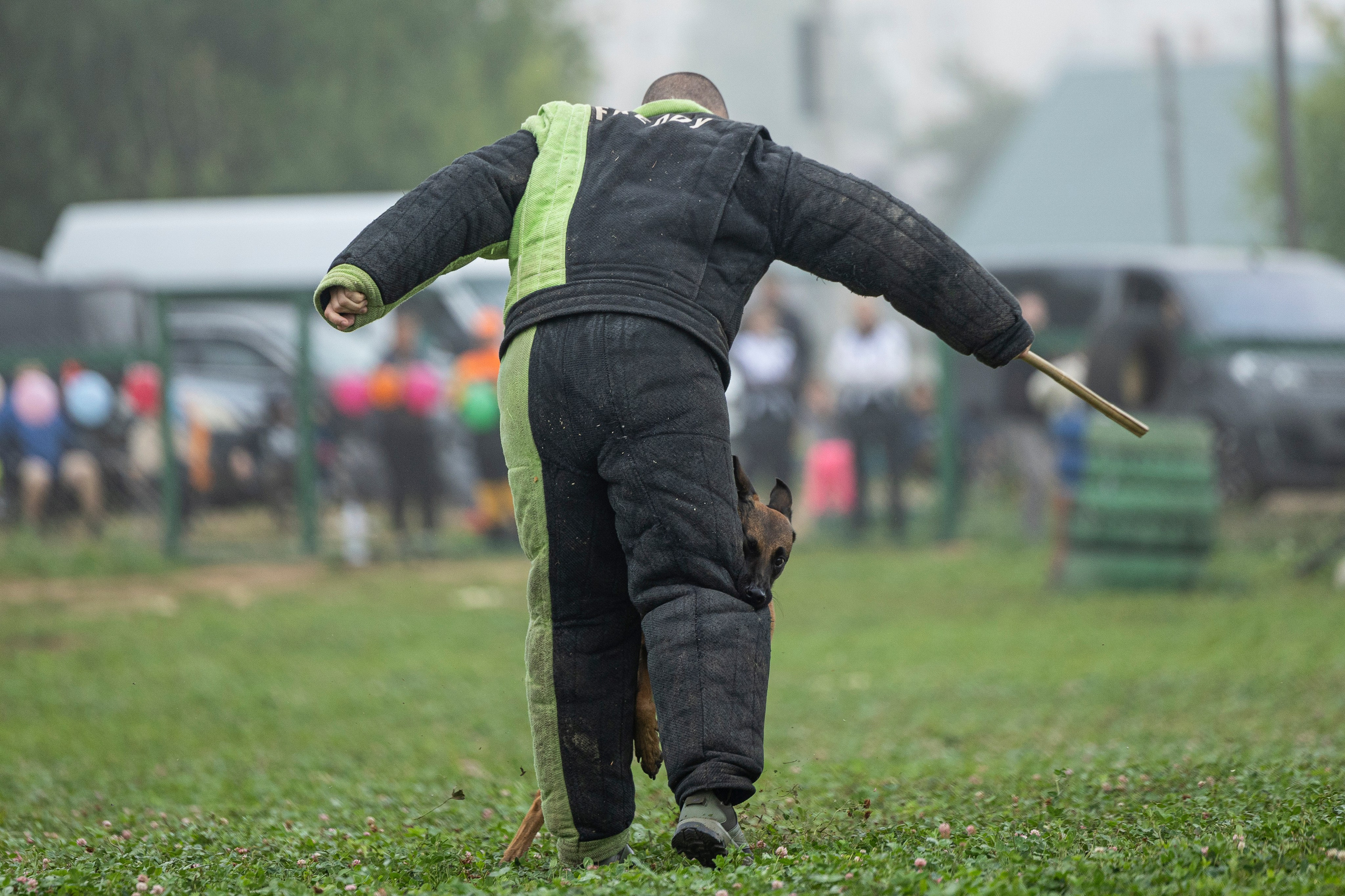Соревнования по Мондьорингу г. Вологда 10-11.08.2024. Фотограф-анималист Анна Маринич
