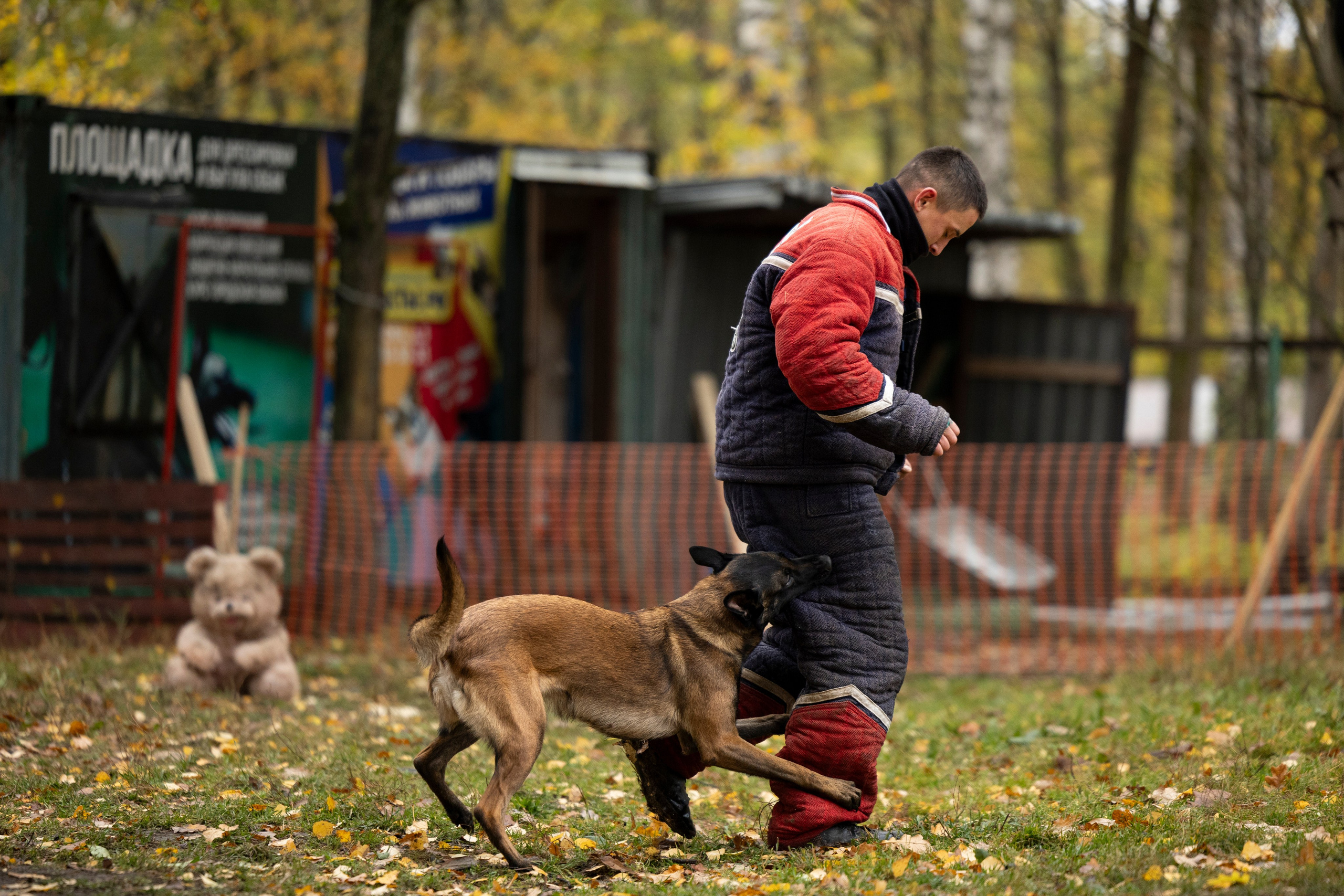Соревнования по Мондьорингу г. Вологда. Фотограф-анималист Анна Маринич