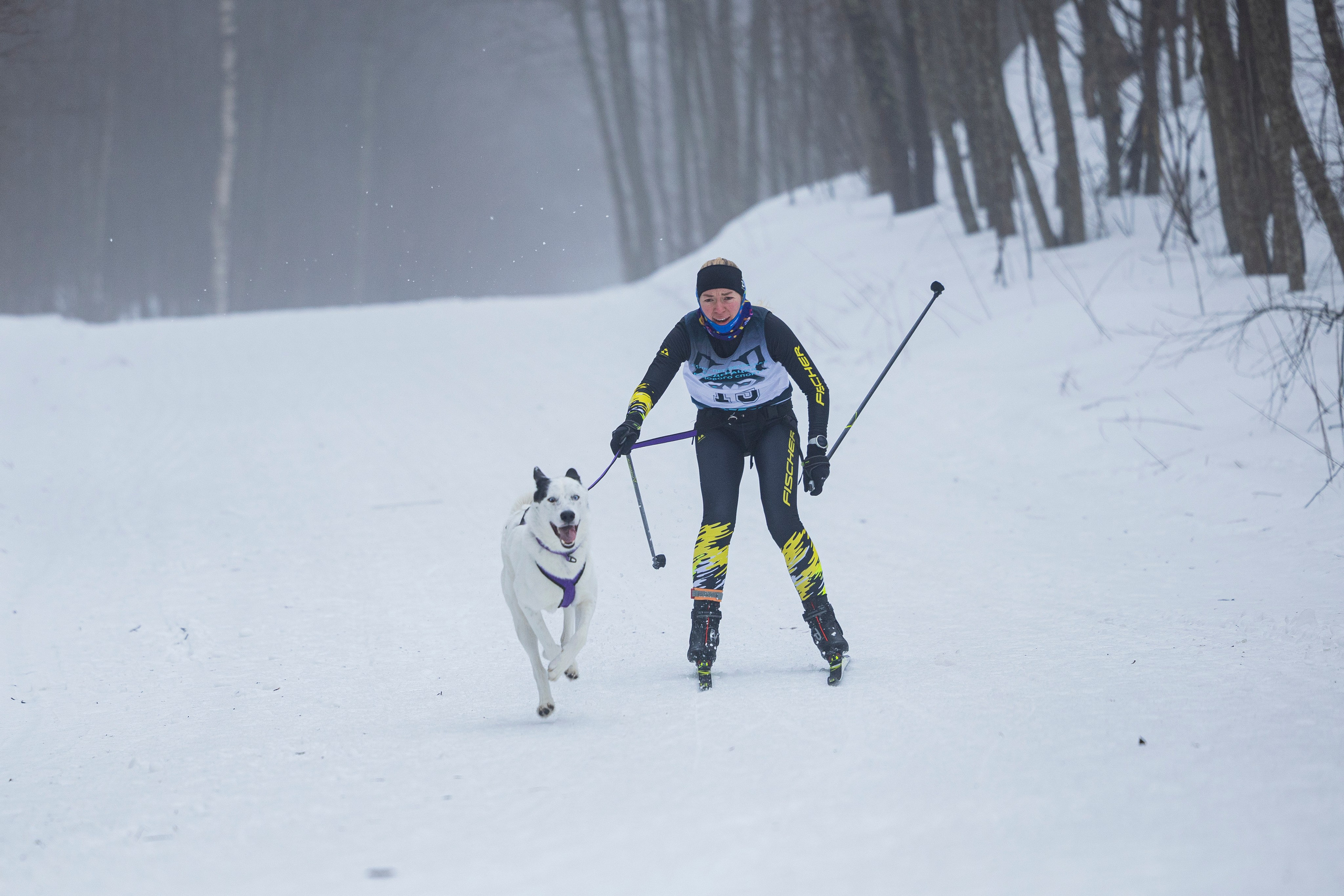 Зимний Чемпионат Санкт-Петербурга по ездовому спорту. Фотограф-анималист Анна Маринич
