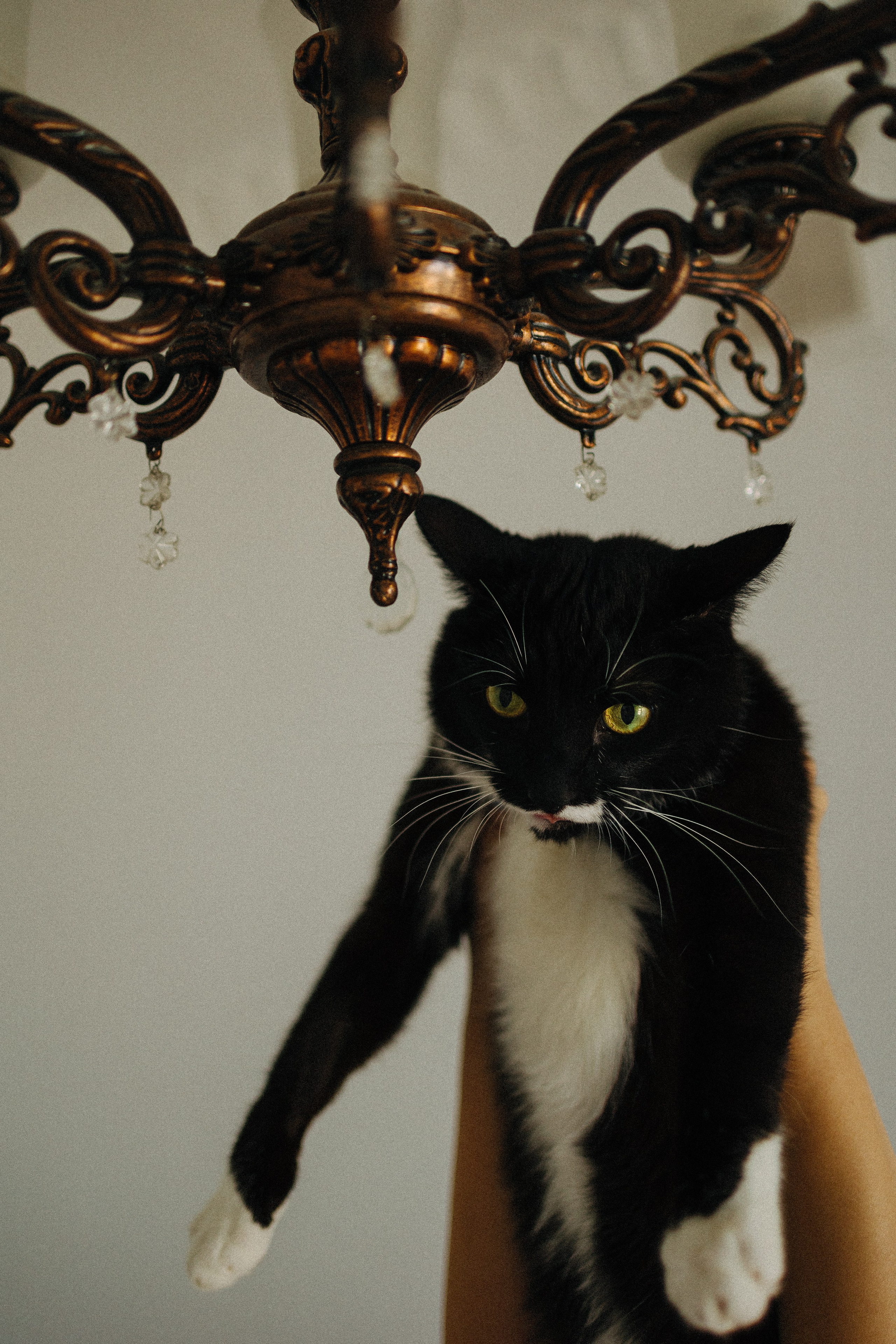 Настя и Акс. Фотораф — анималист Мария Шистка