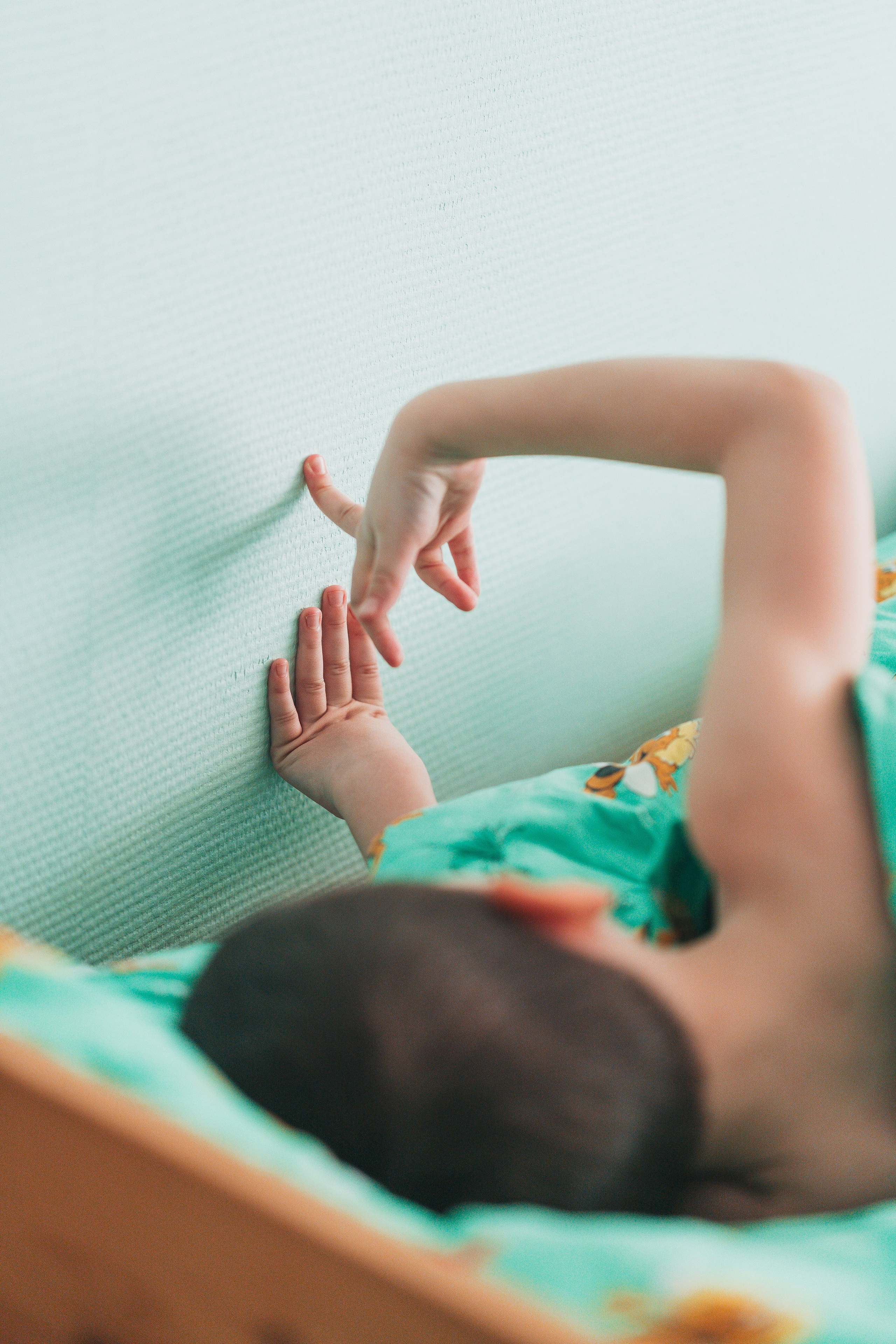 Сад2. Школьные альбомы и альбомы для детского сада. Юлия Осипова. Москва