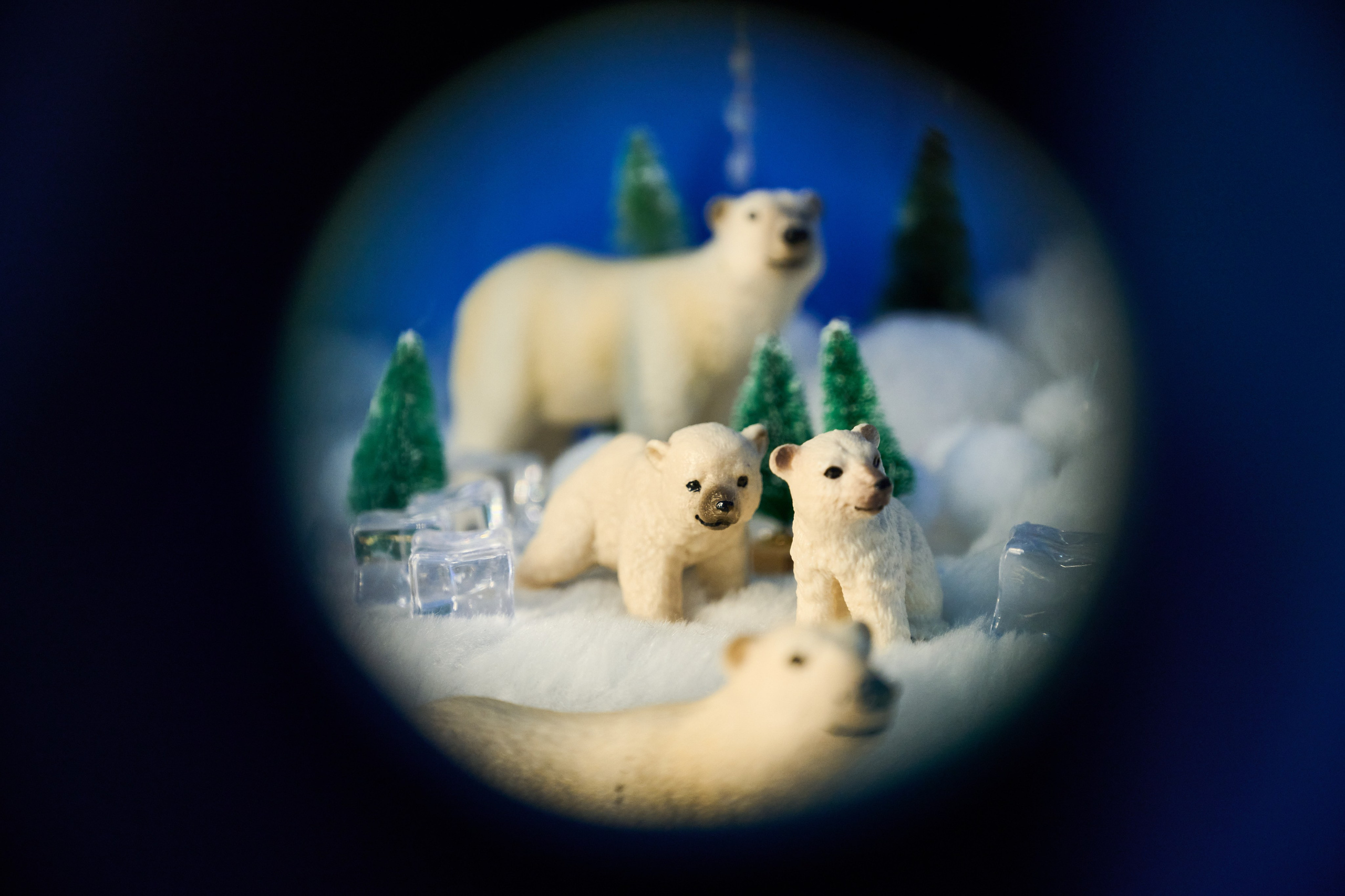 Интерьеры Усадьбы Деда Мороза. Никита Хохловский фото и видео продакшн