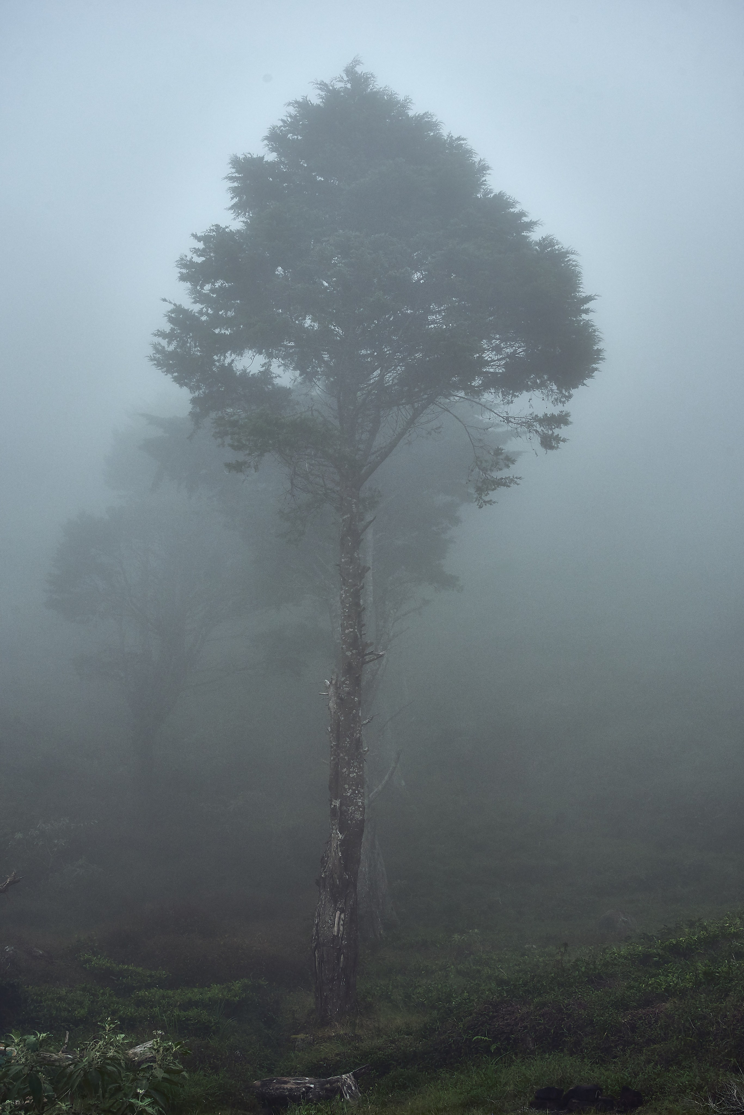 Moto Trip 23-05-19. Никита Хохловский фото и видео продакшн