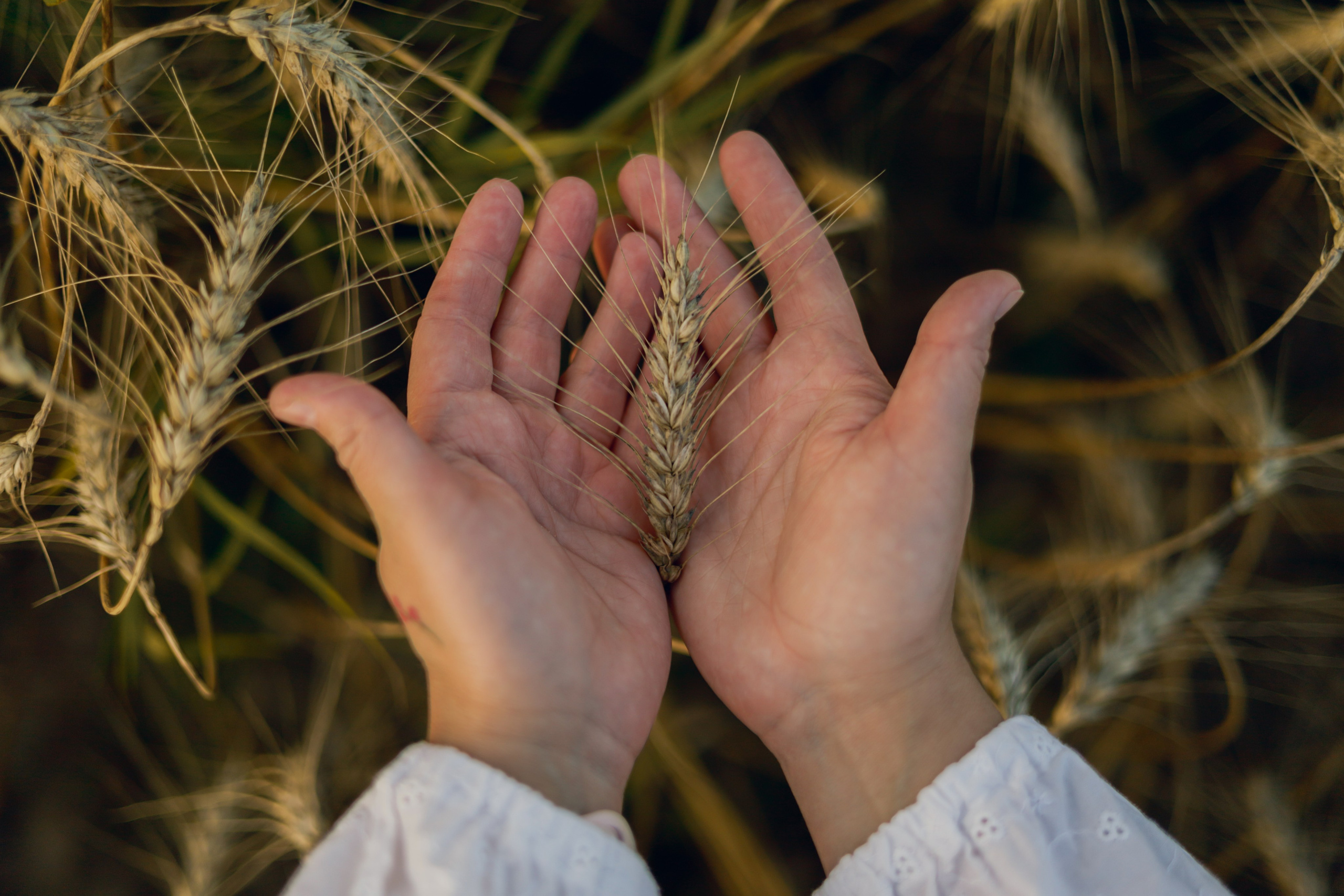 Лиза — хлебомама. Фотограф в Москве и области Титова Наталья