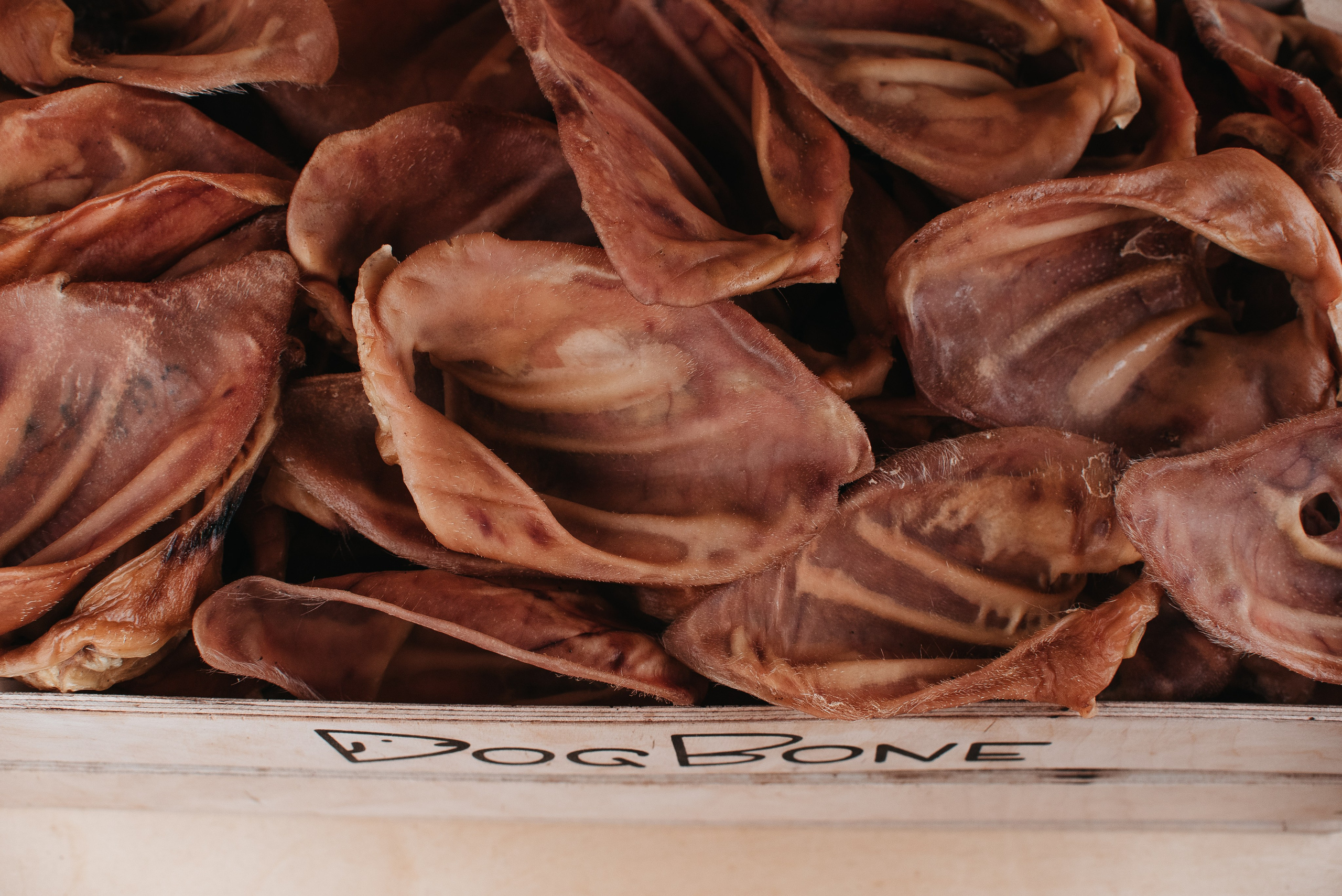 Dog Bone лакомства. Фотограф-анималист Валерия, Москва, Мытищи