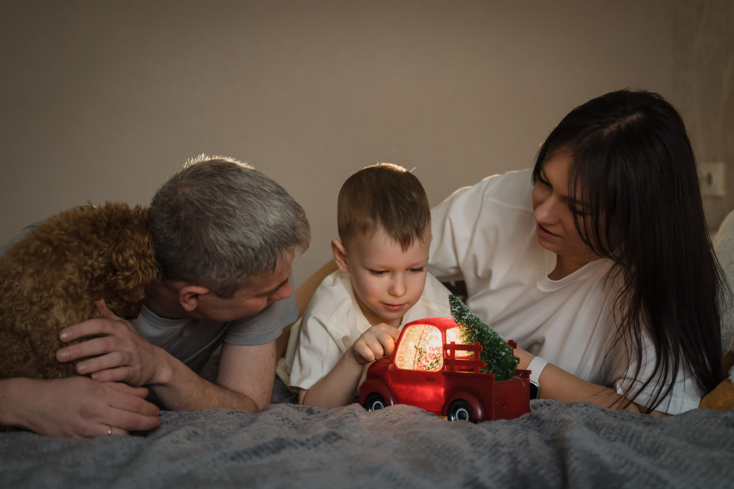 Предновогодний вечер. Главная
