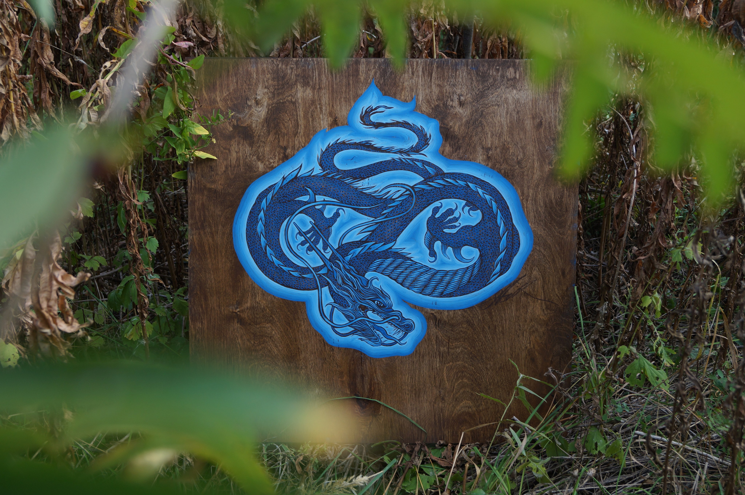 Дракон. Саша Гдетотам