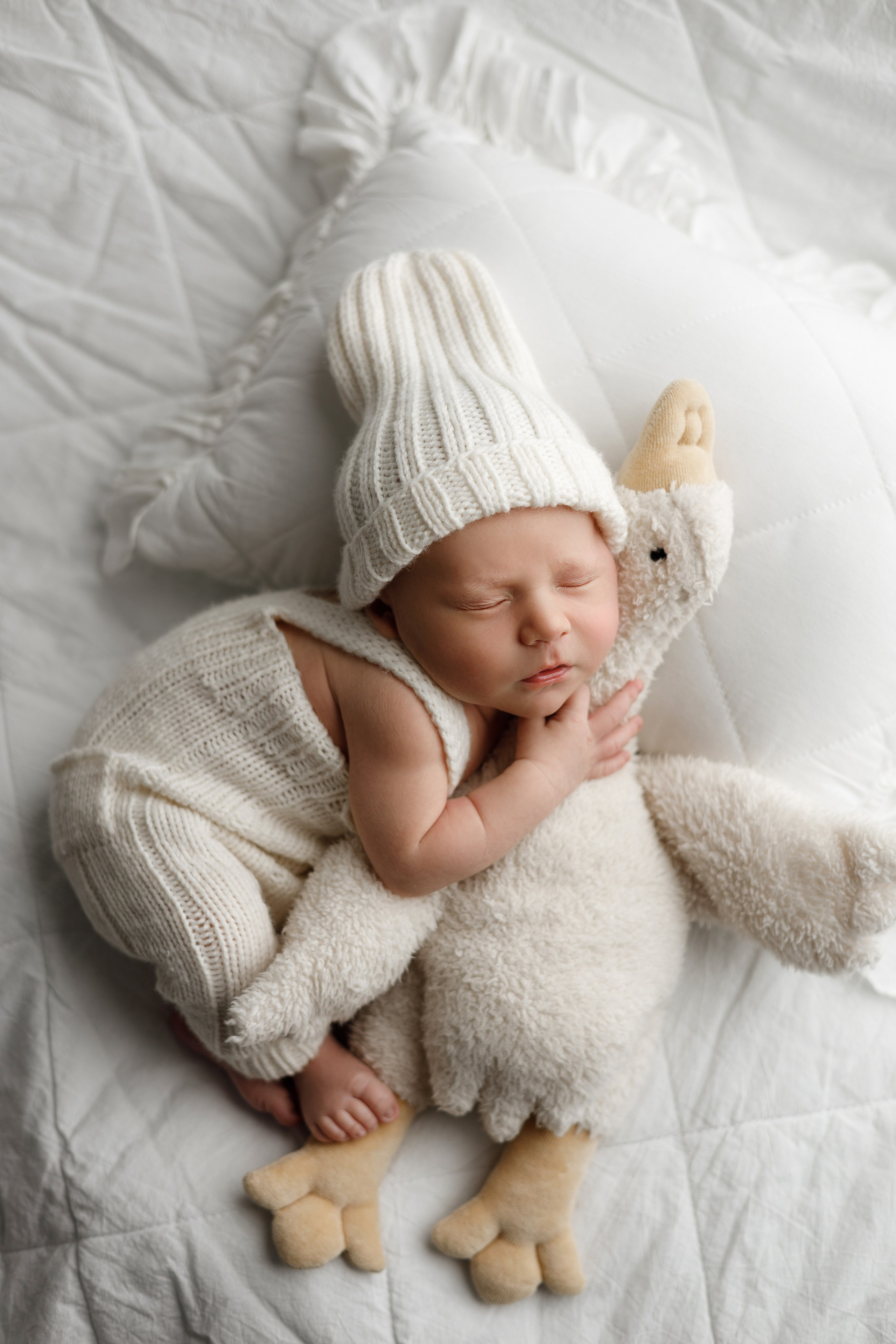 Лев пакет Малыш и семья с фотокнигой. Фотограф новорожденных ньюборн newborn в Краснодаре Алена Гребенькова