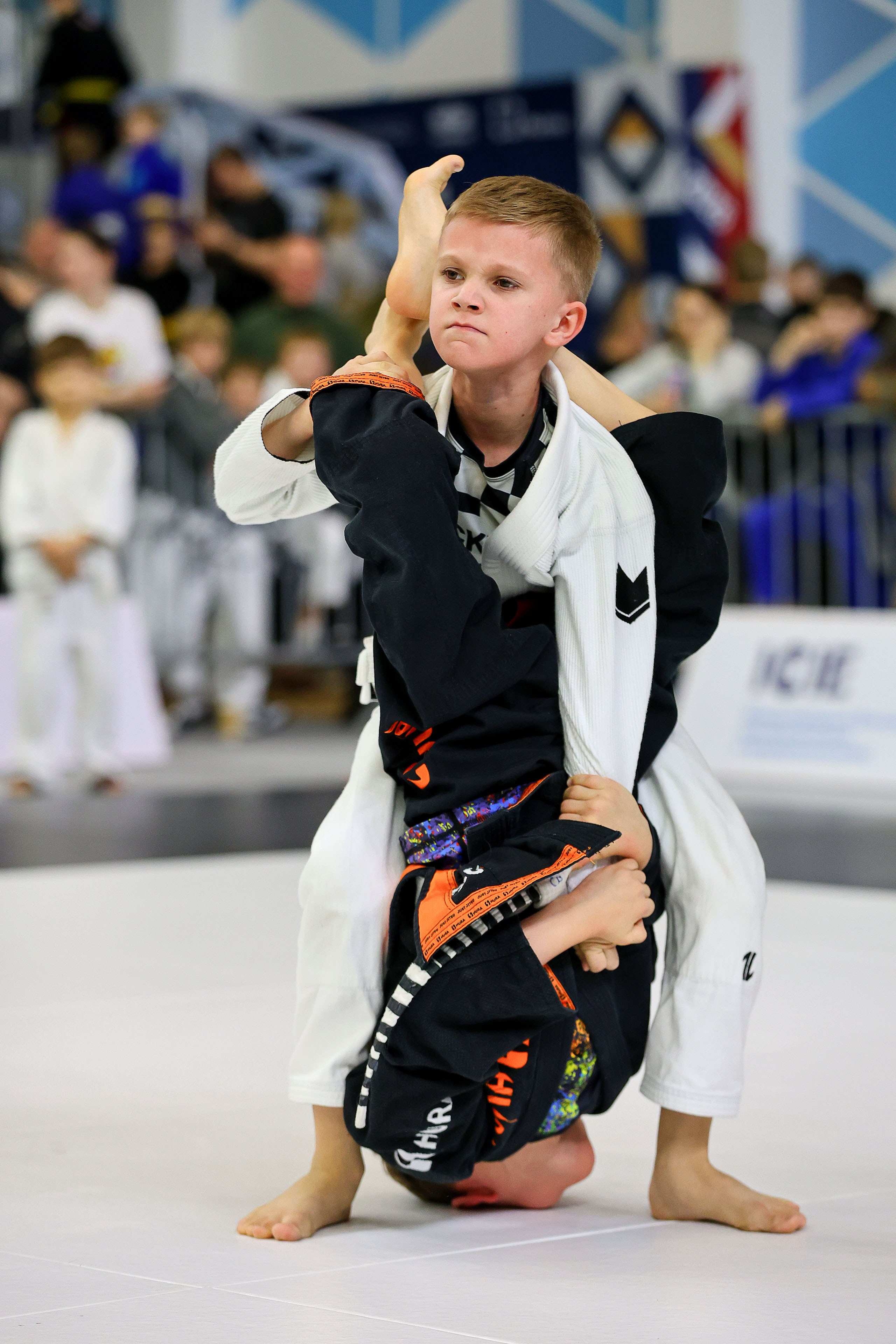 BJJ. Спортивный фотограф в Нижнем Новгороде и Сочи Ангелина Ильичева