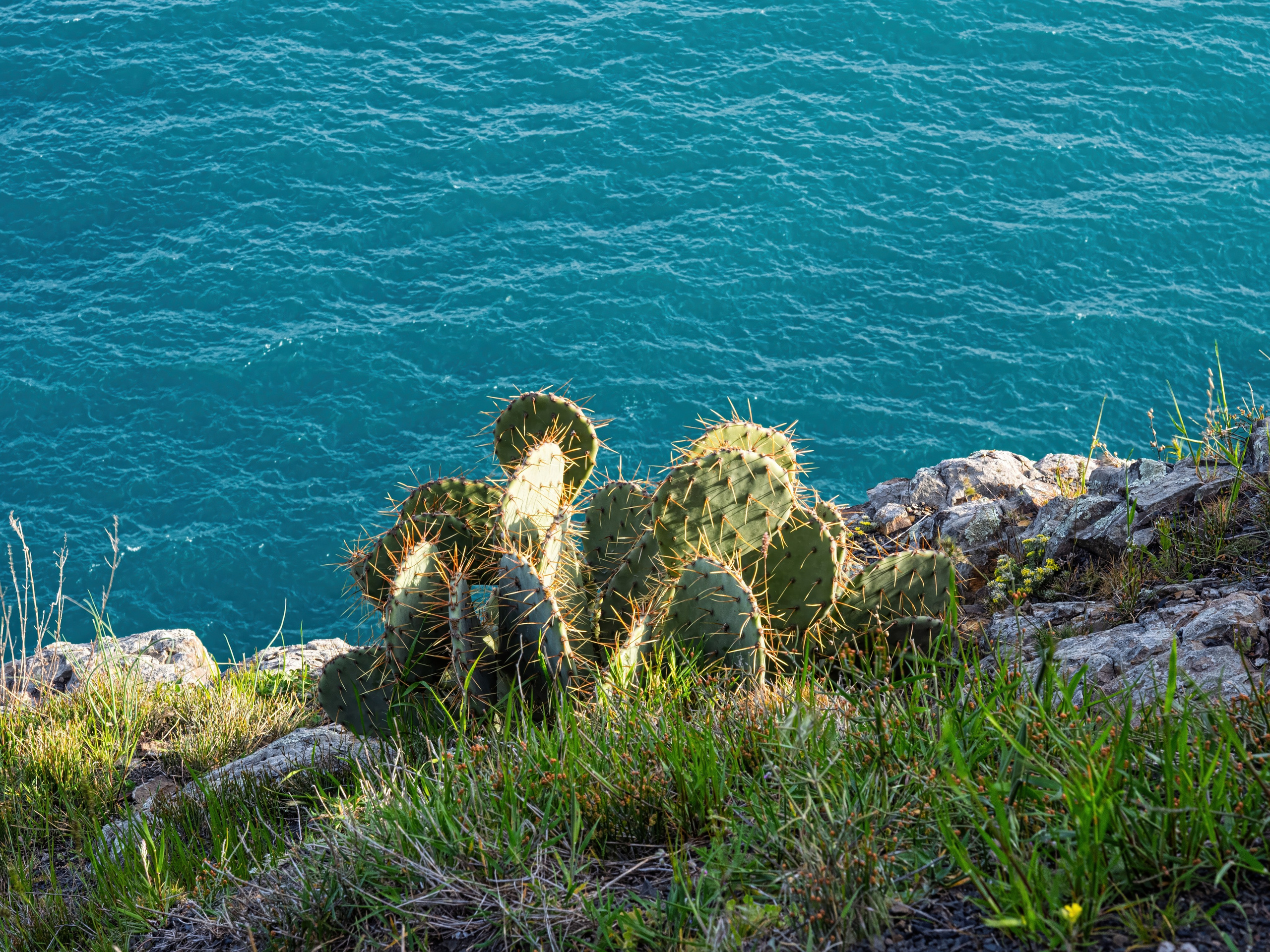 Крым, Утес, 2021 год. Фотограф Никифоров-Гордеев Сергей. Москва и МО