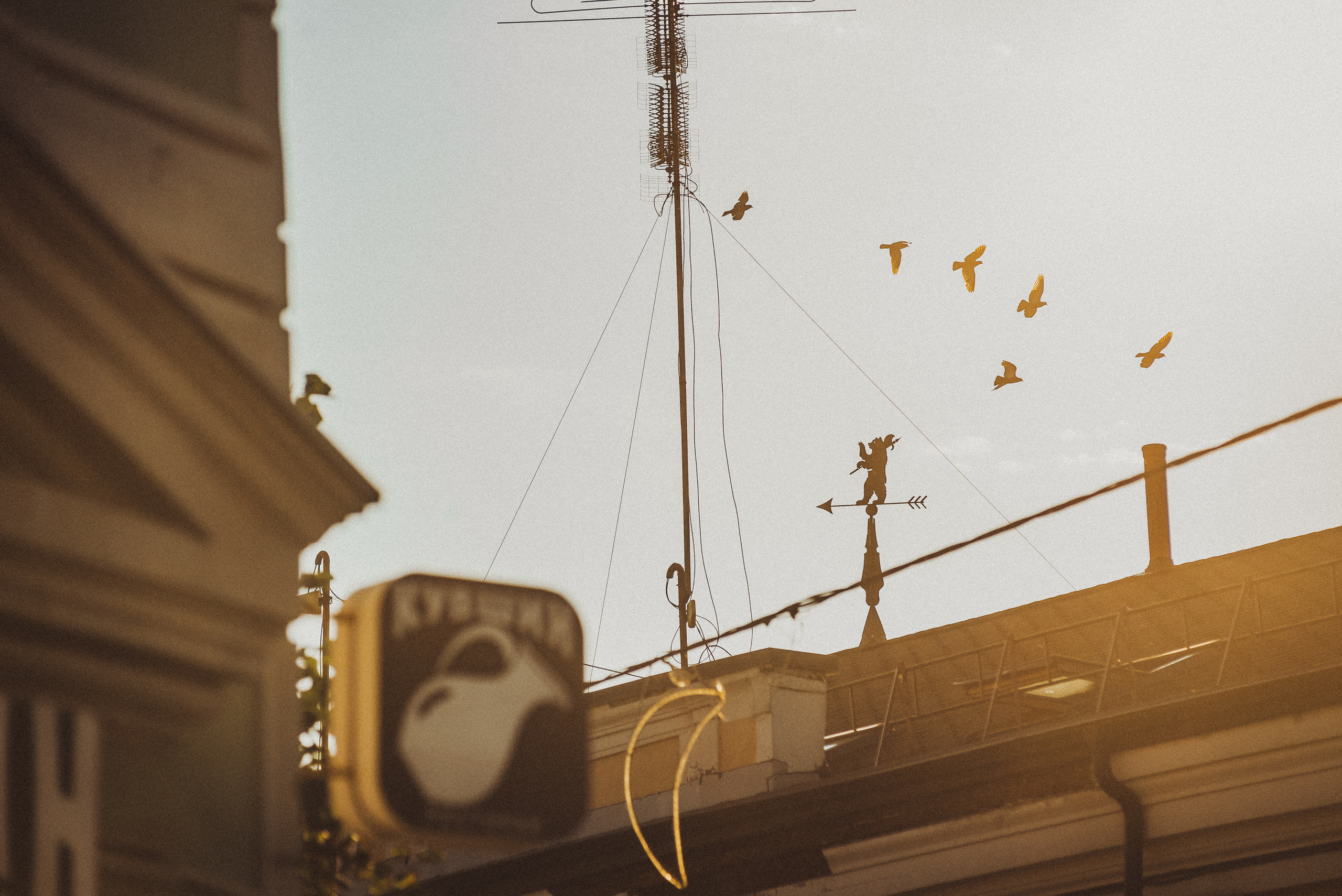 Проект #улицыгорода. Ярославль, ул. Нахимсона. Документальный фотограф Илья Тихановский