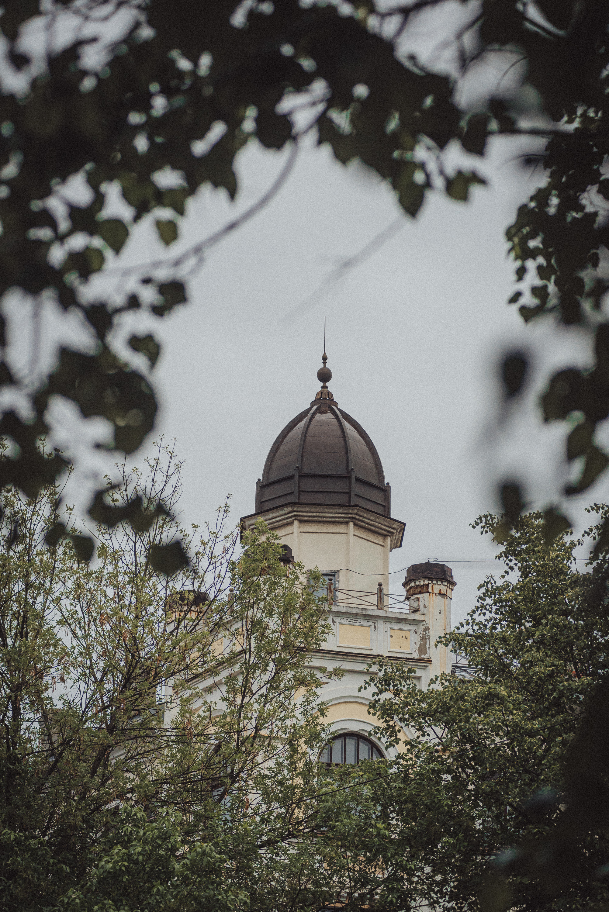 Проект #улицыгорода. Ярославль, ул. Трефолева. Документальный фотограф Илья Тихановский