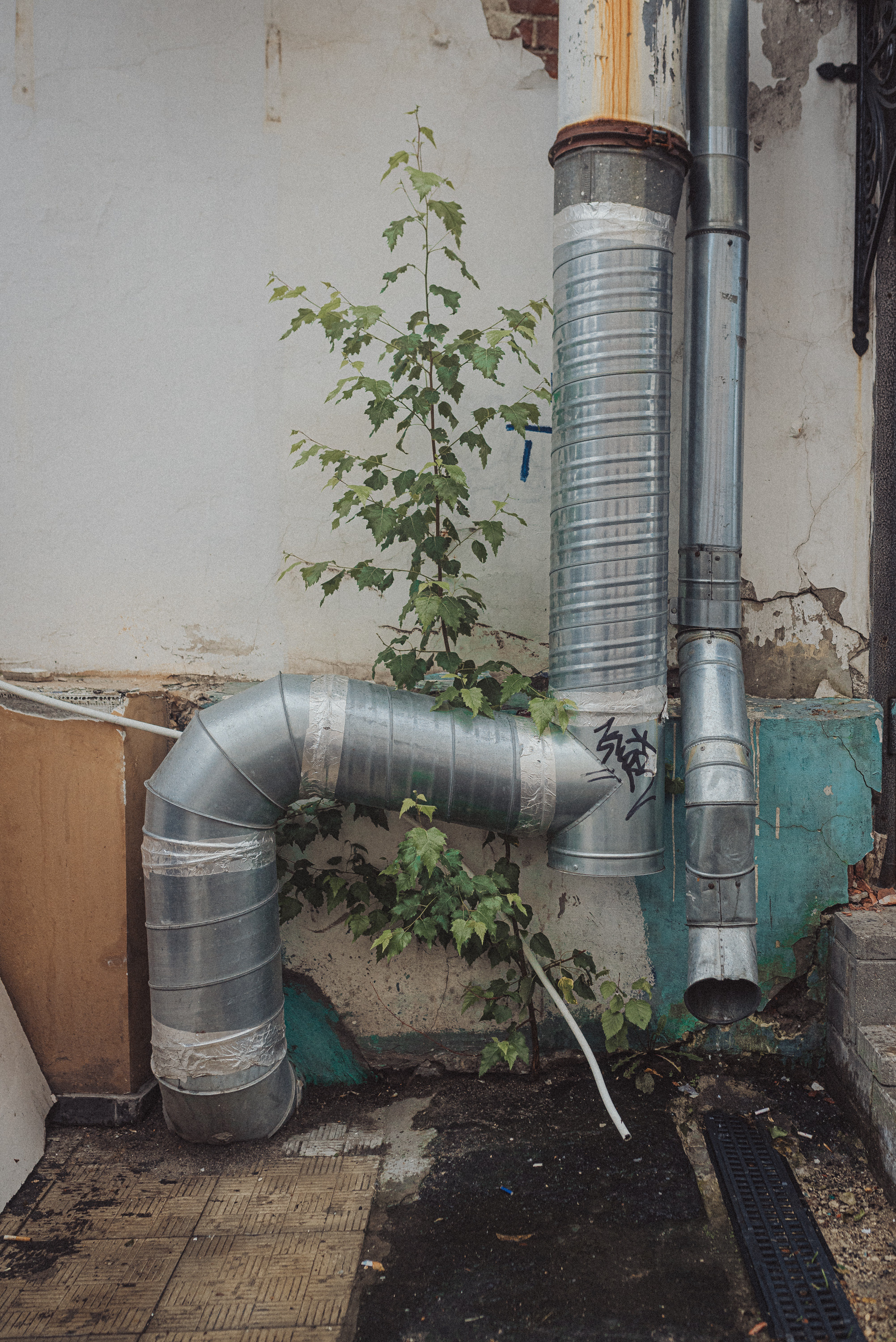 Проект #улицыгорода. Ярославль, ул. Максимова. Документальный фотограф Илья Тихановский