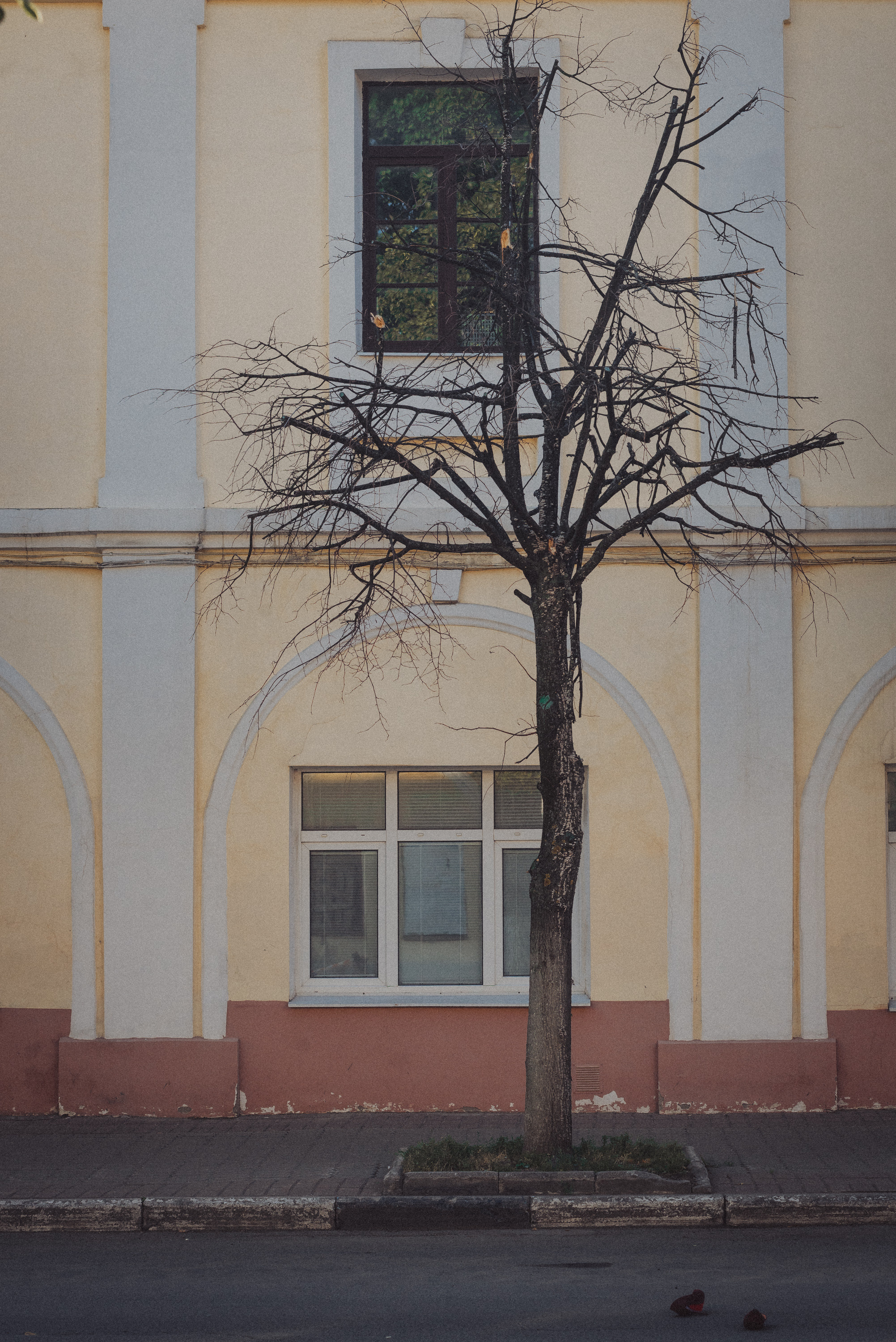 Проект #улицыгорода. Ярославль, ул. Нахимсона. Документальный фотограф Илья Тихановский