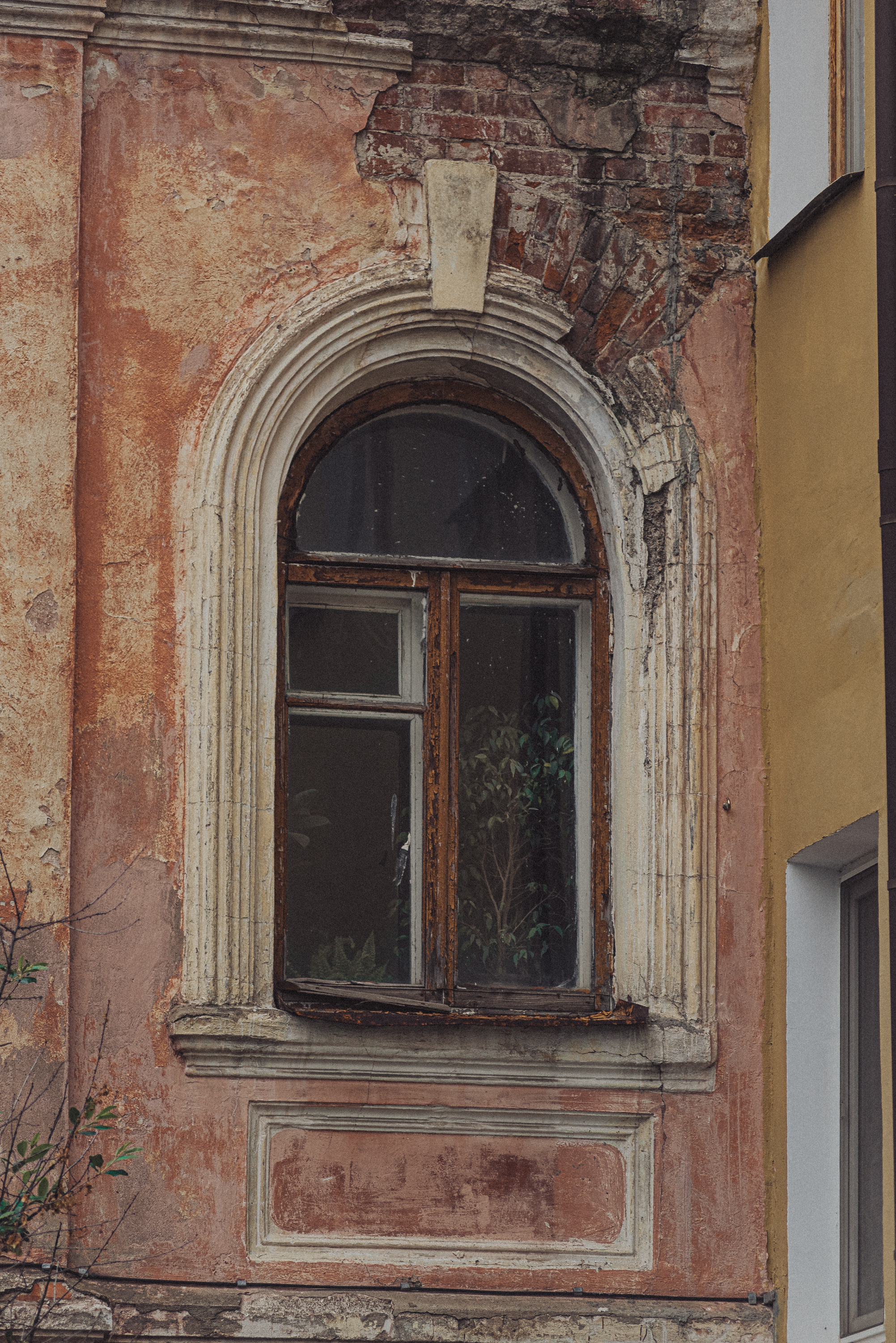 Проект #улицыгорода. Ярославль, ул. Трефолева. Документальный фотограф Илья Тихановский